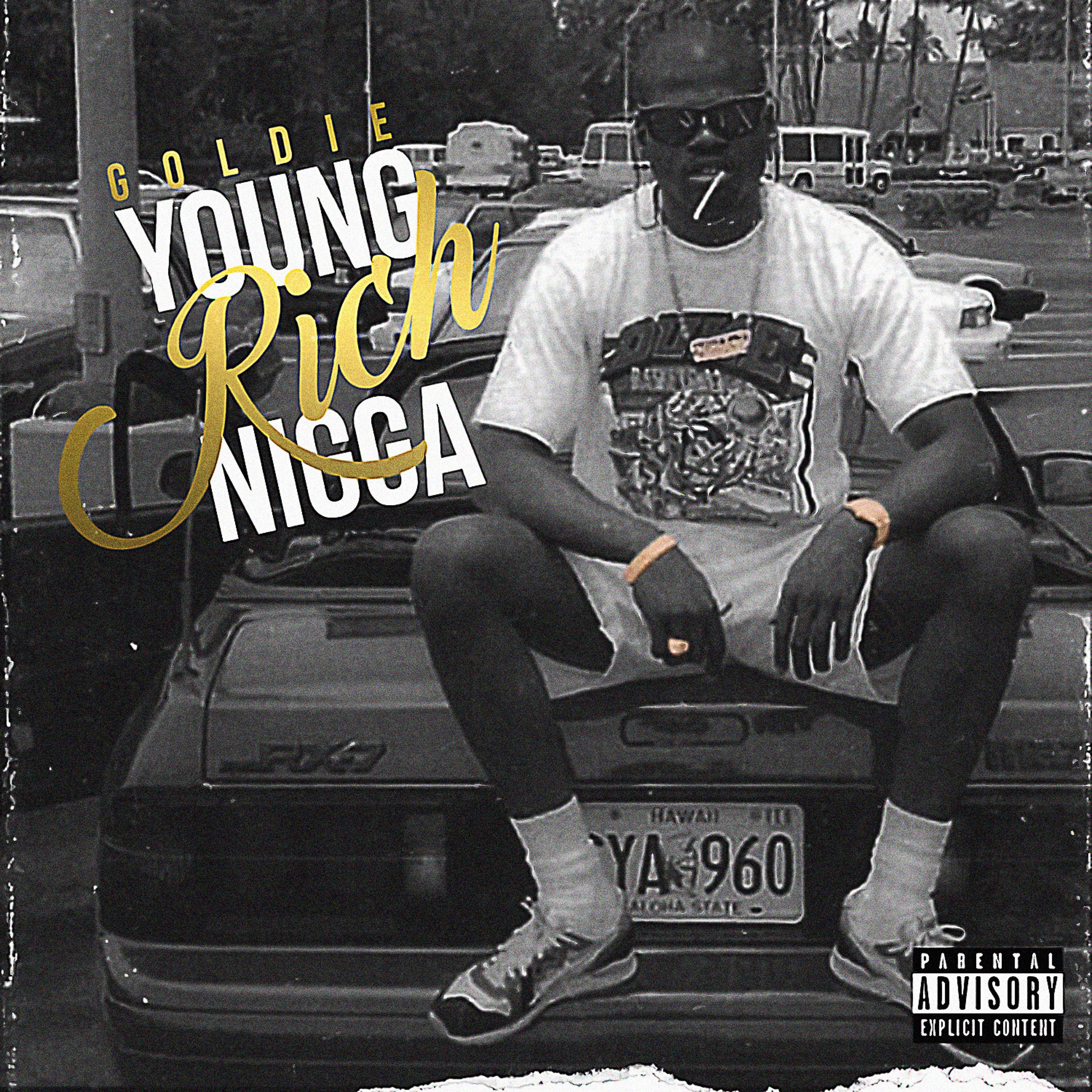 Постер альбома Young Rich Nigga