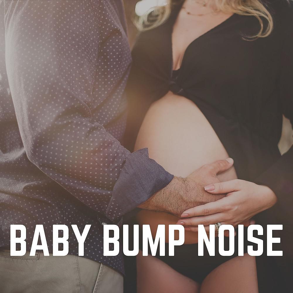 Постер альбома Baby Bump Noise