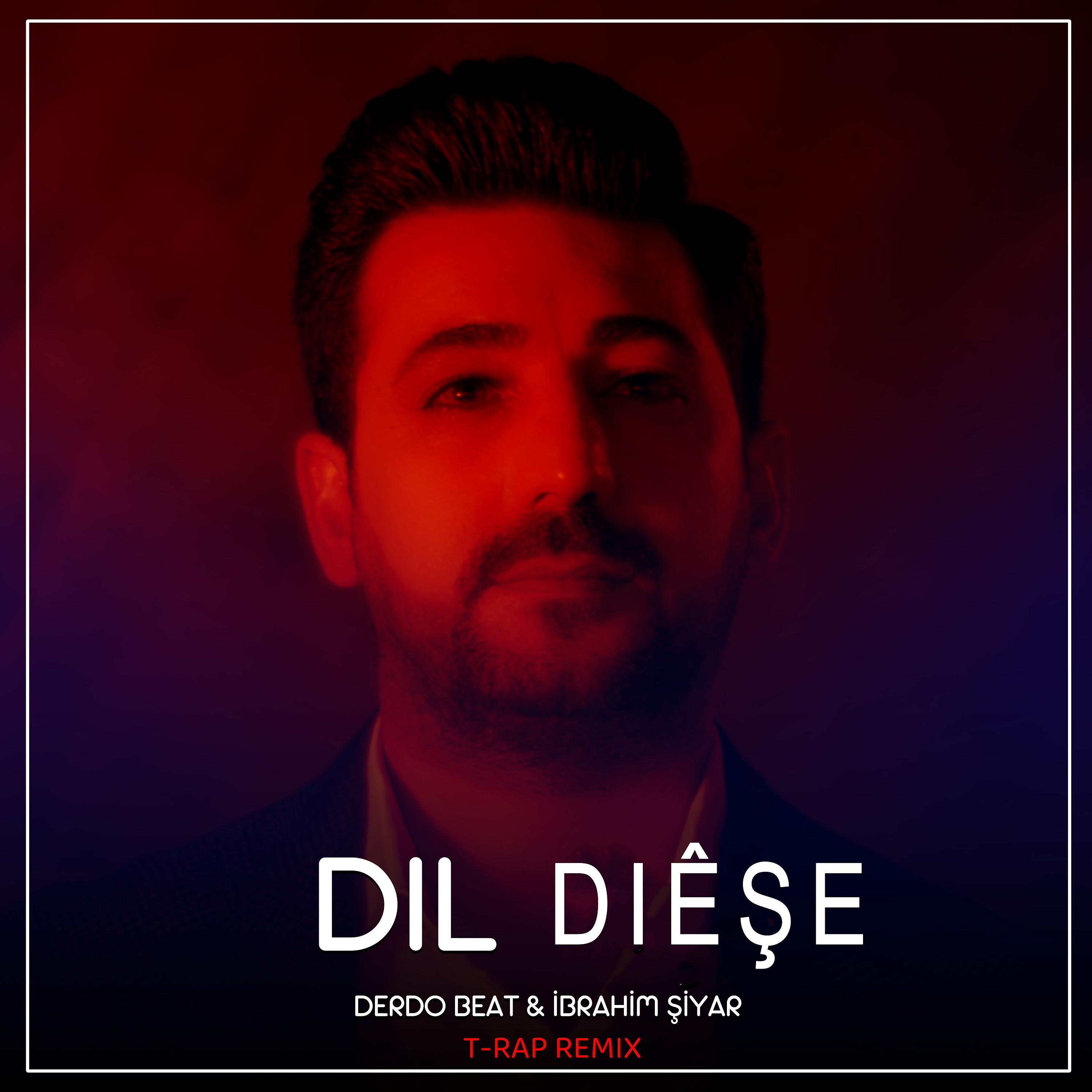Постер альбома Dil Diêşe (T-Rap Remix)
