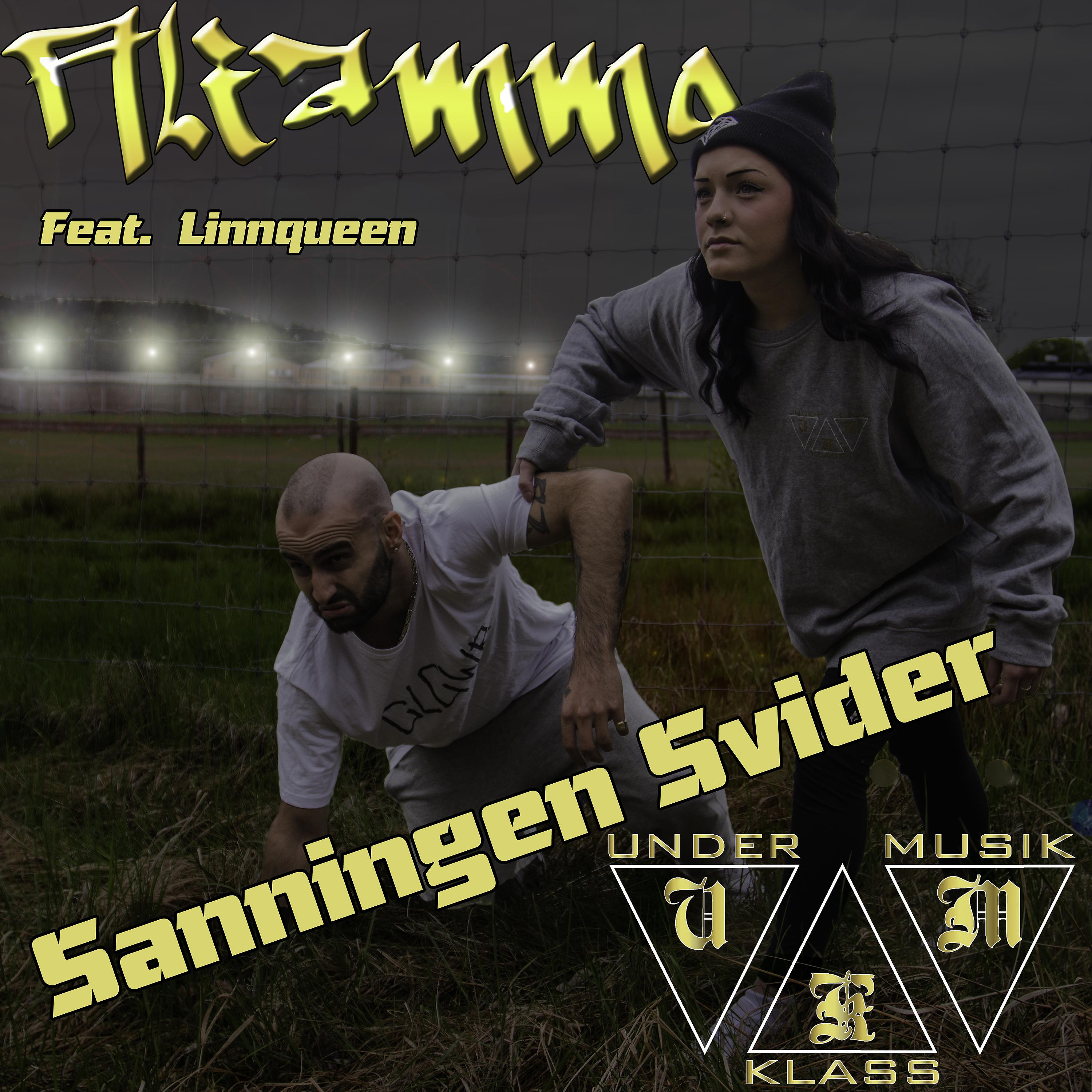 Постер альбома Sanningen Svider