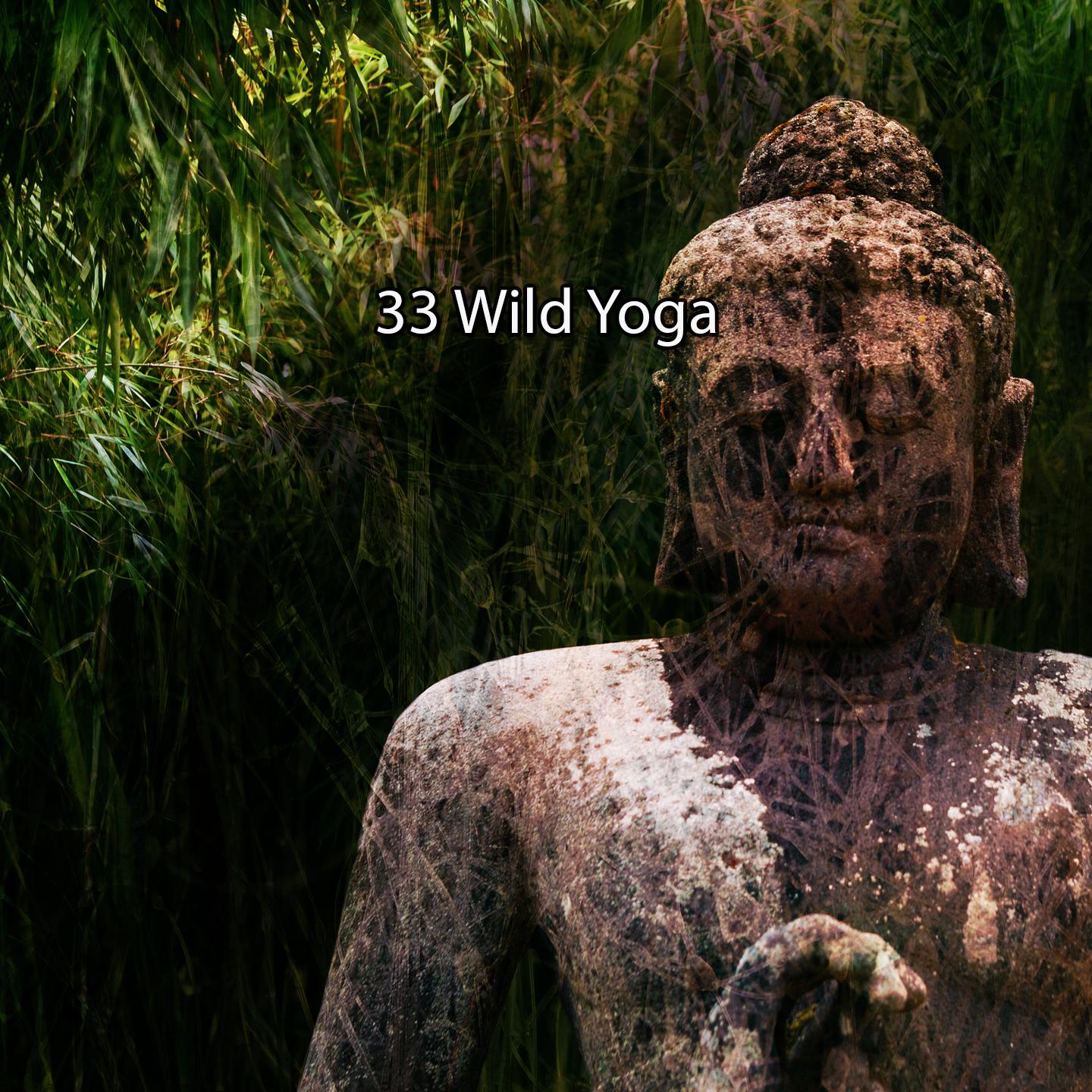 Постер альбома 33 Wild Yoga