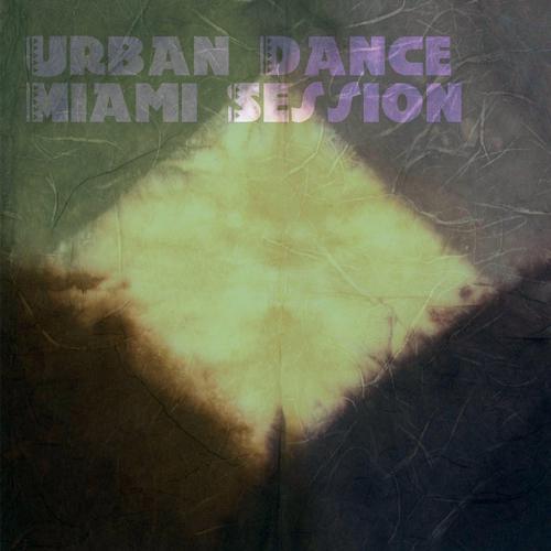 Постер альбома Urban Dance Miami Session (Top 20 Essential Hits)