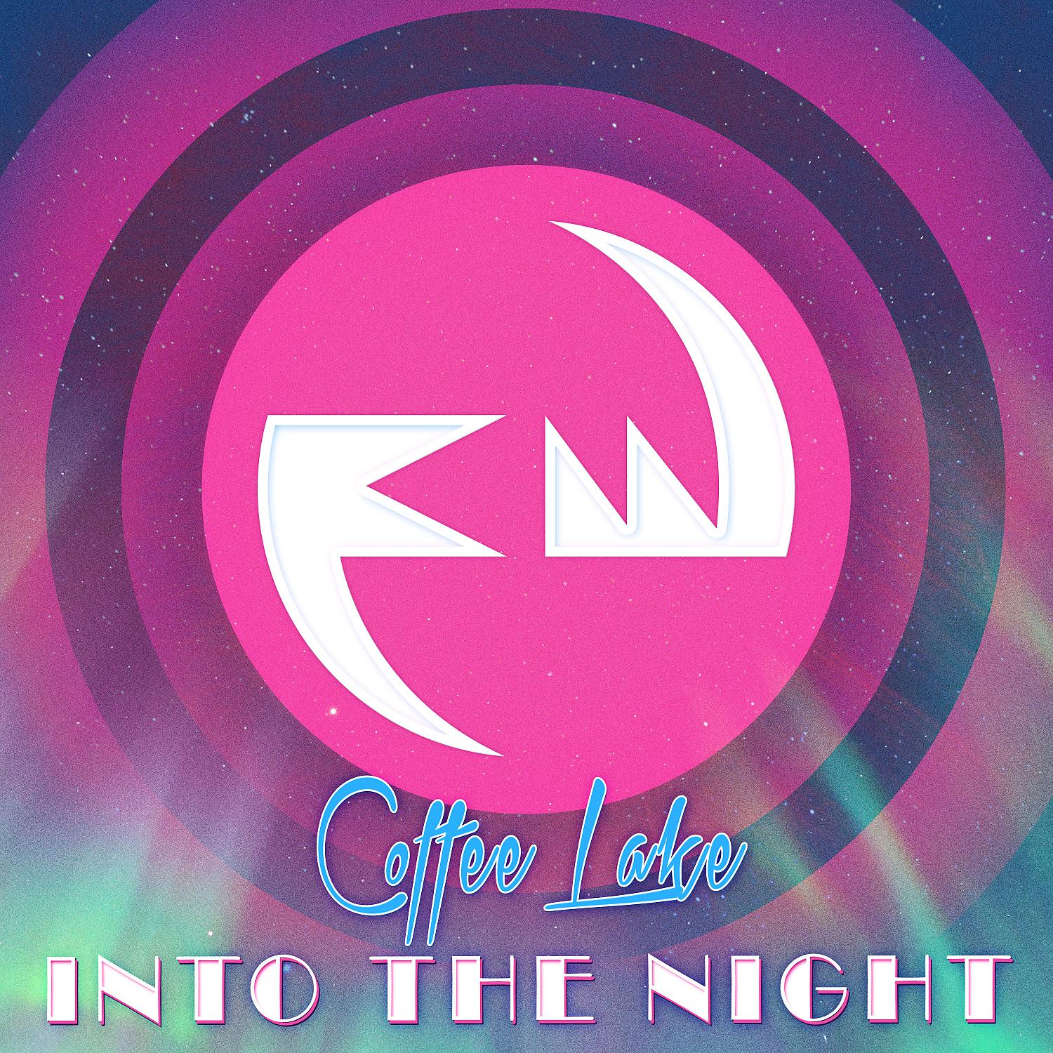 Постер альбома Into The Night