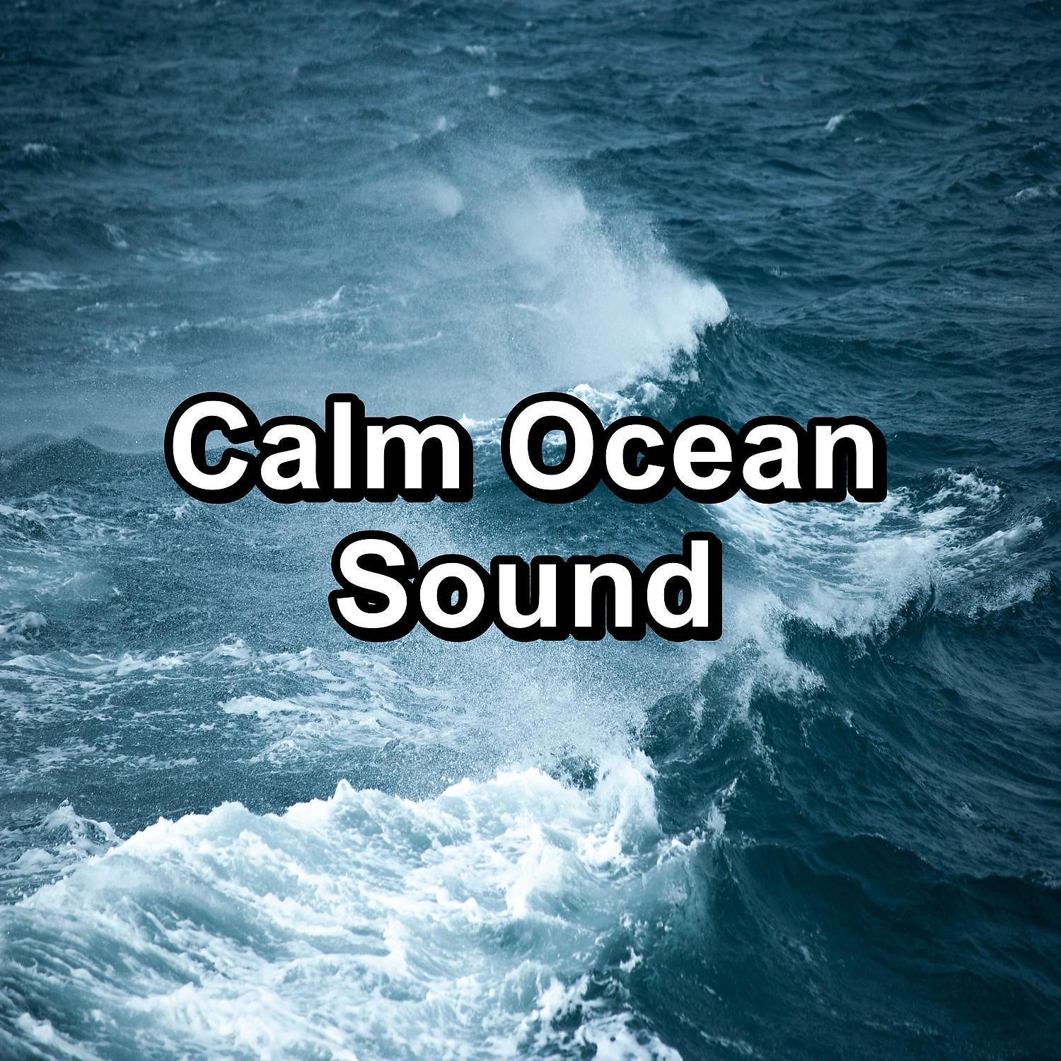 Постер альбома Calm Ocean Sound