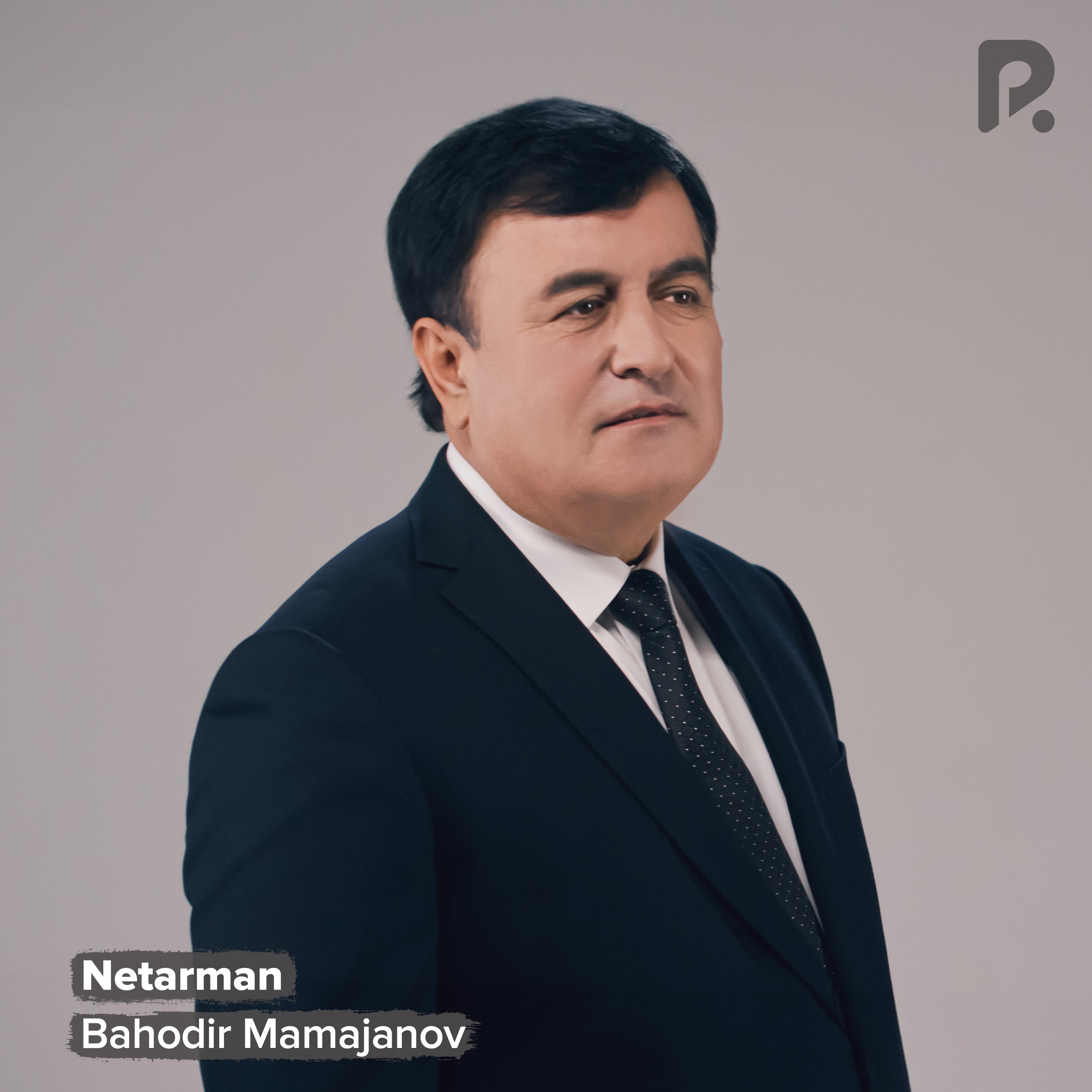 Постер альбома Netarman