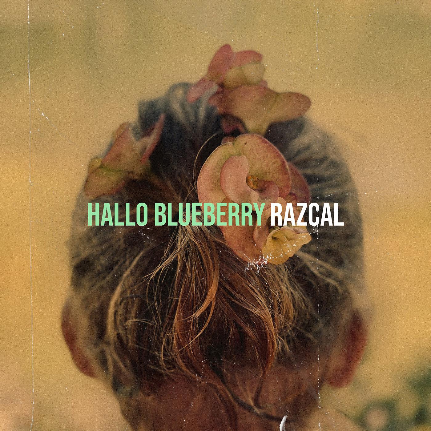 Постер альбома Hallo Blueberry