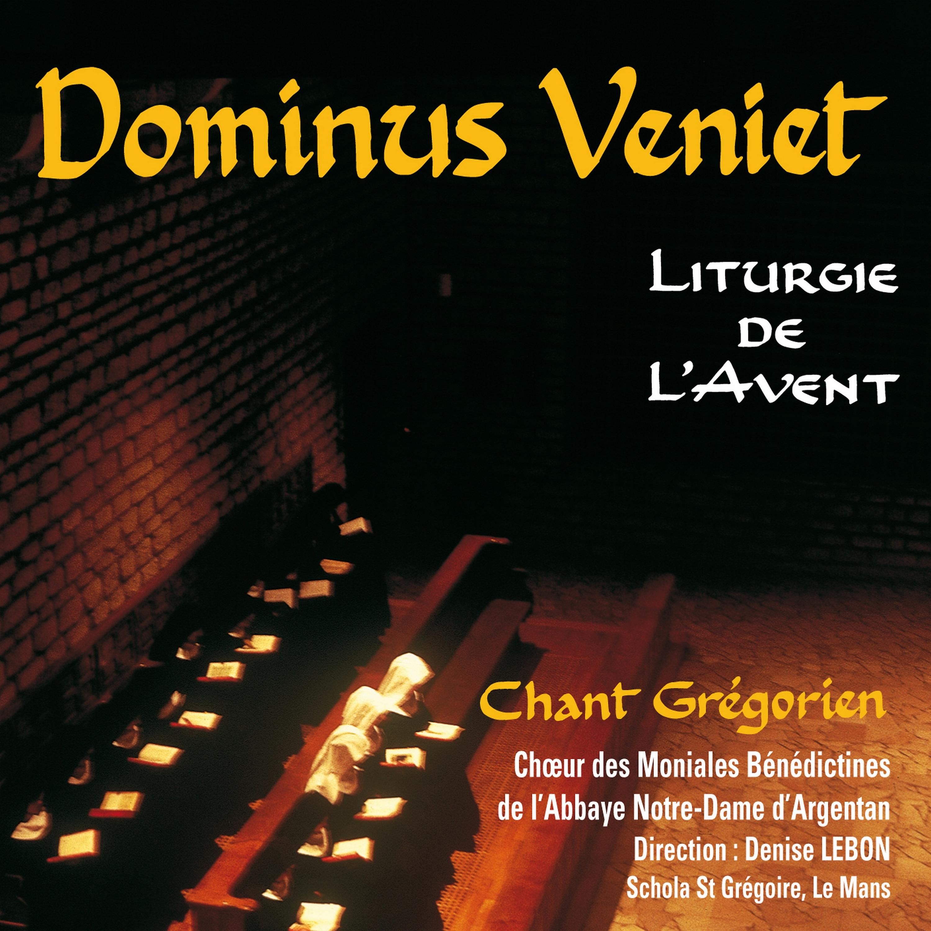 Постер альбома Dominus Veniet: Liturgie de l'Avent (Chant grégorien)