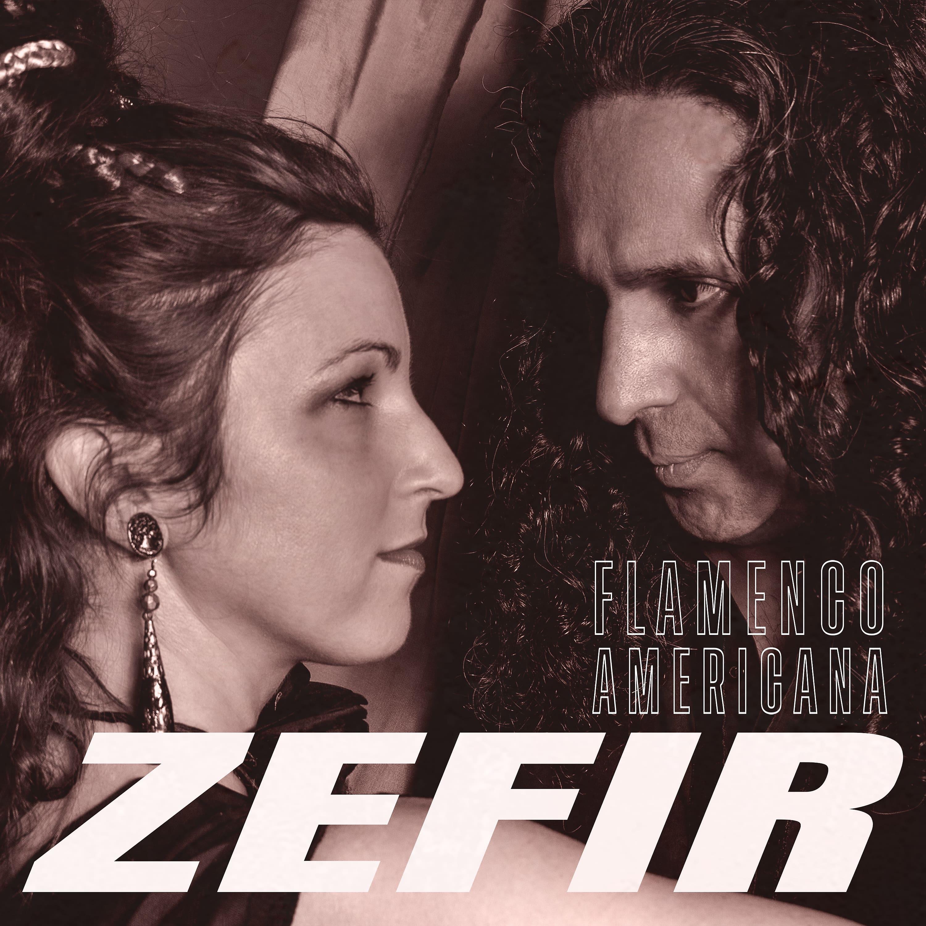 Постер альбома Zefir