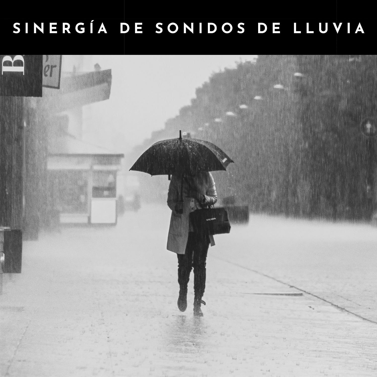 Постер альбома Sinergía De Sonidos De Lluvia