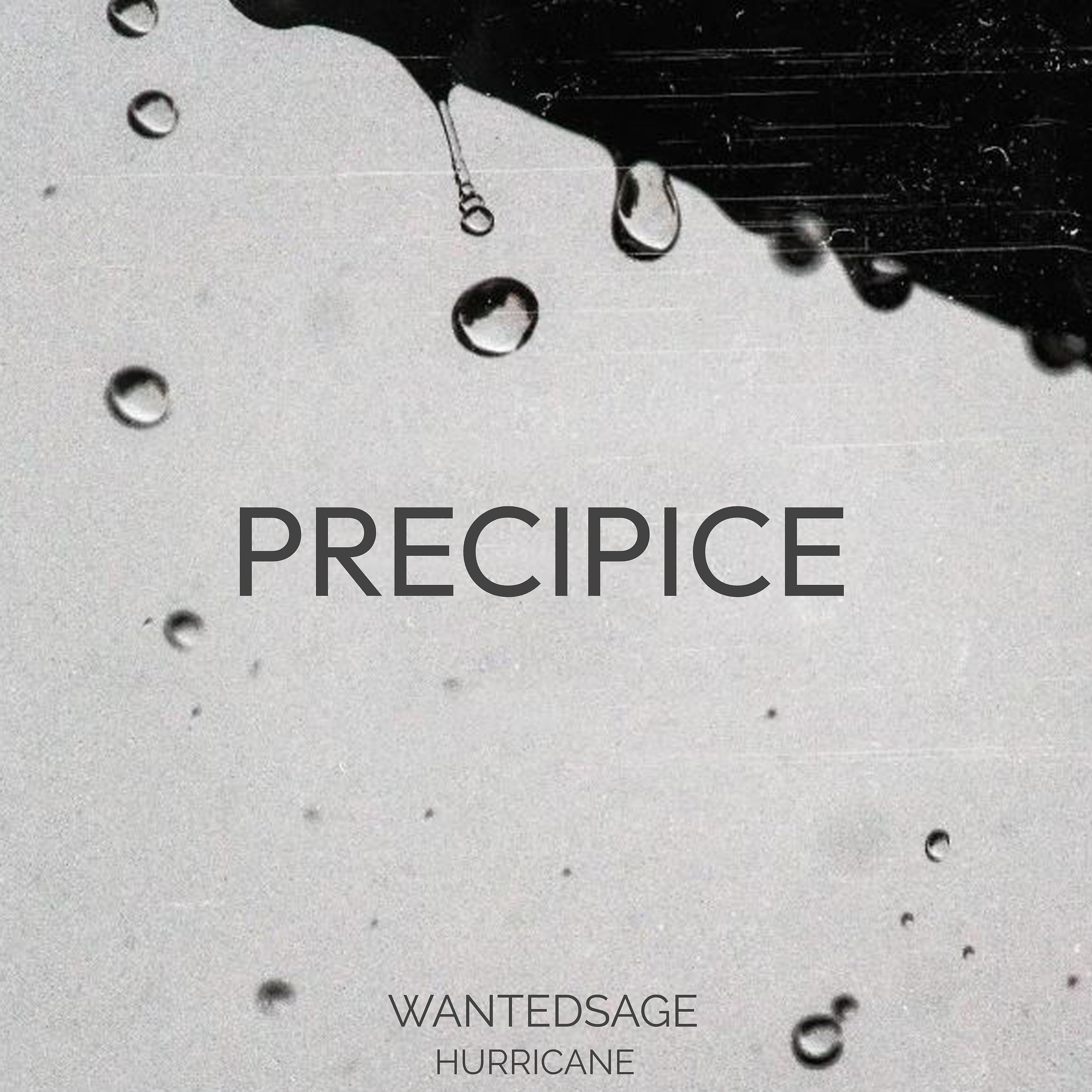 Постер альбома Precipice (feat. Hurricane)