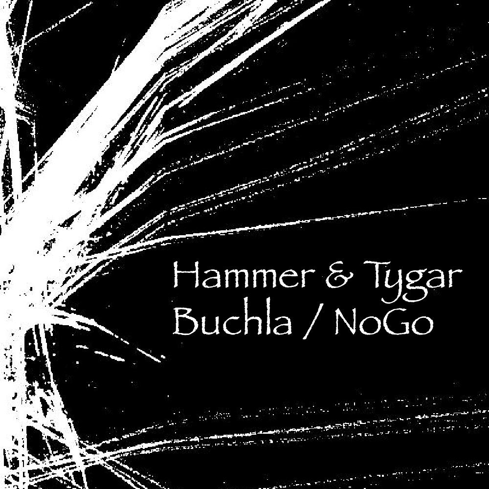Постер альбома Buchla / NoGo