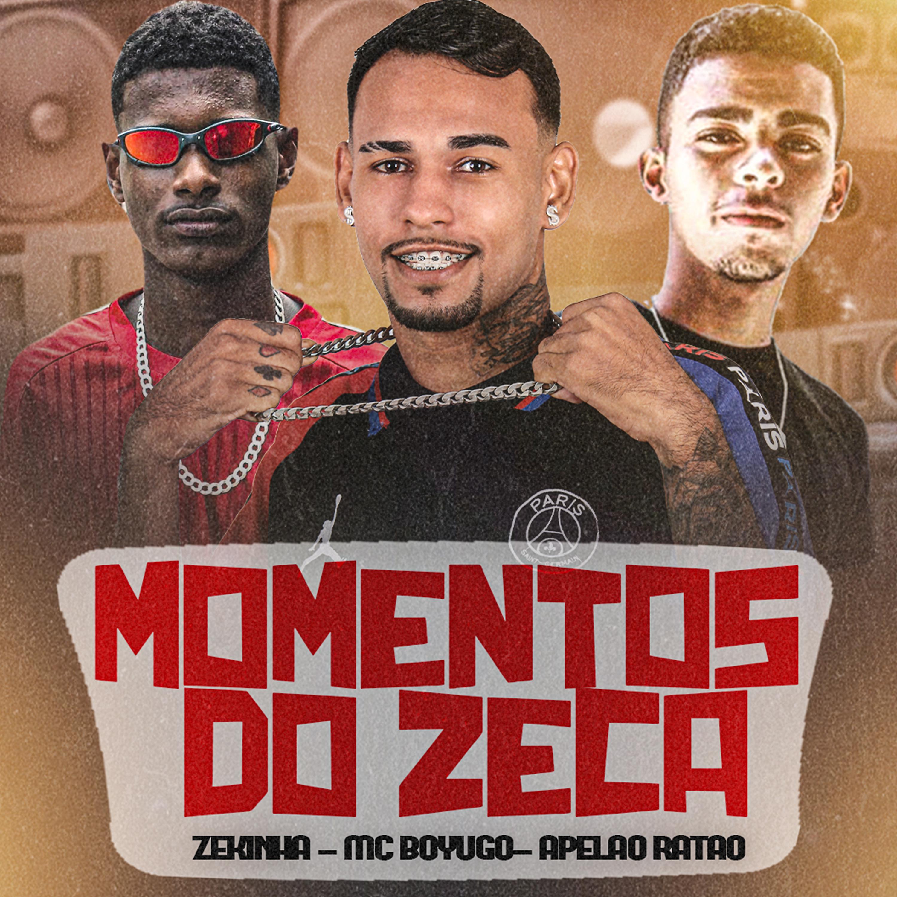 Постер альбома Momentos do Zeca