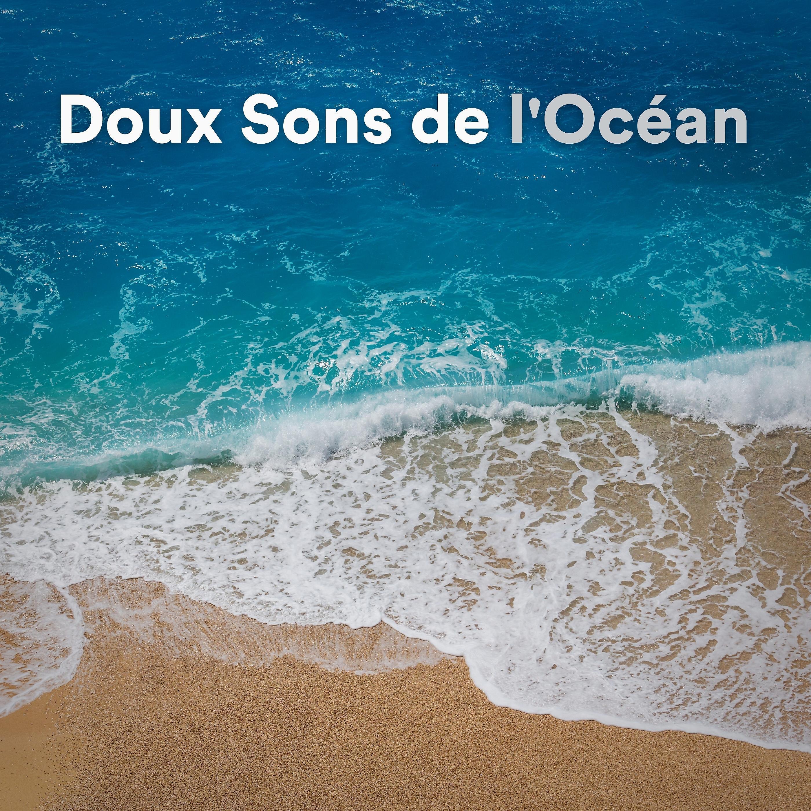 Постер альбома Doux Sons de l'Océan