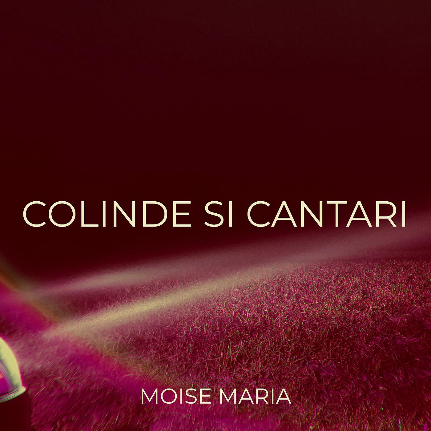 Постер альбома Colinde Si Cantari