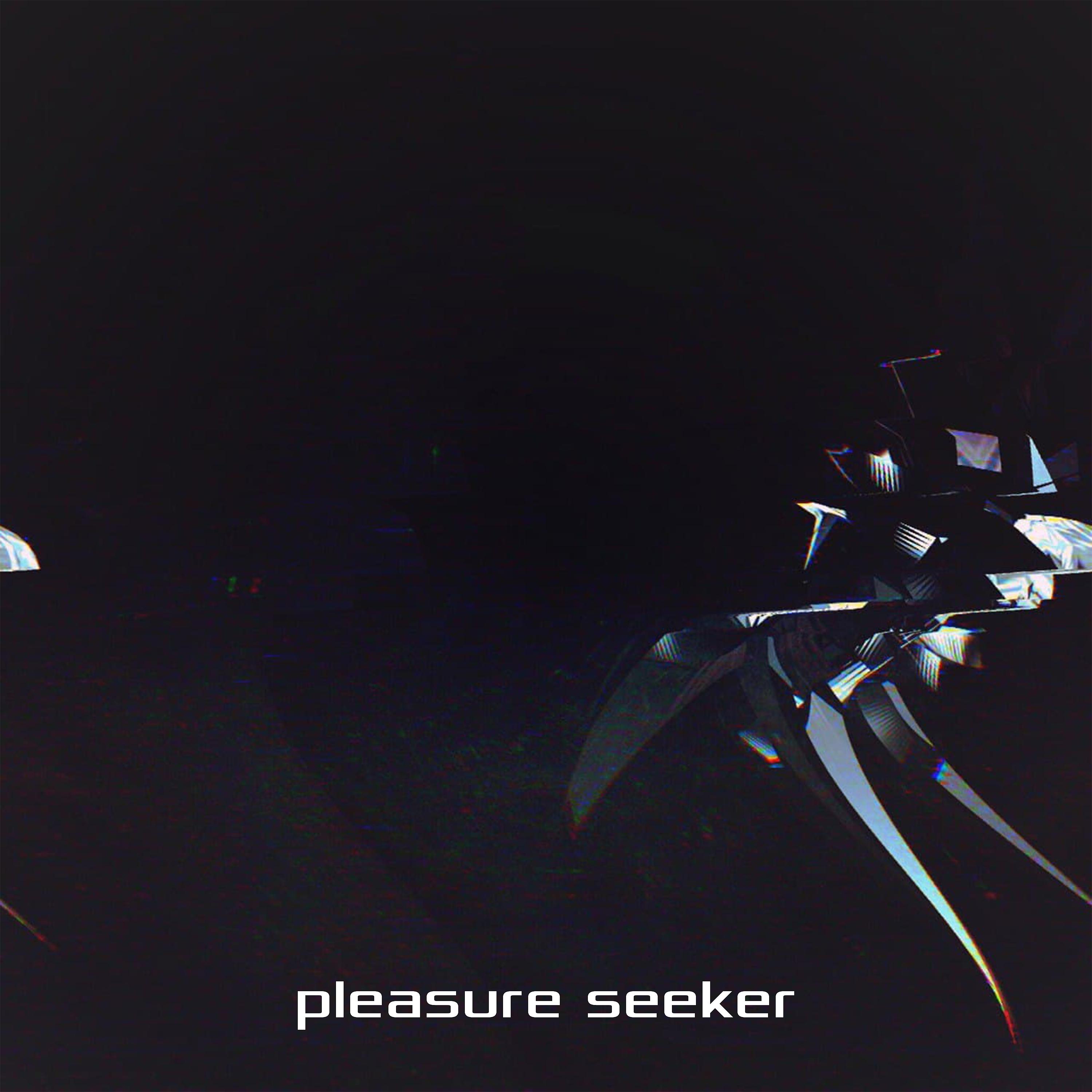 Постер альбома Pleasure Seeker