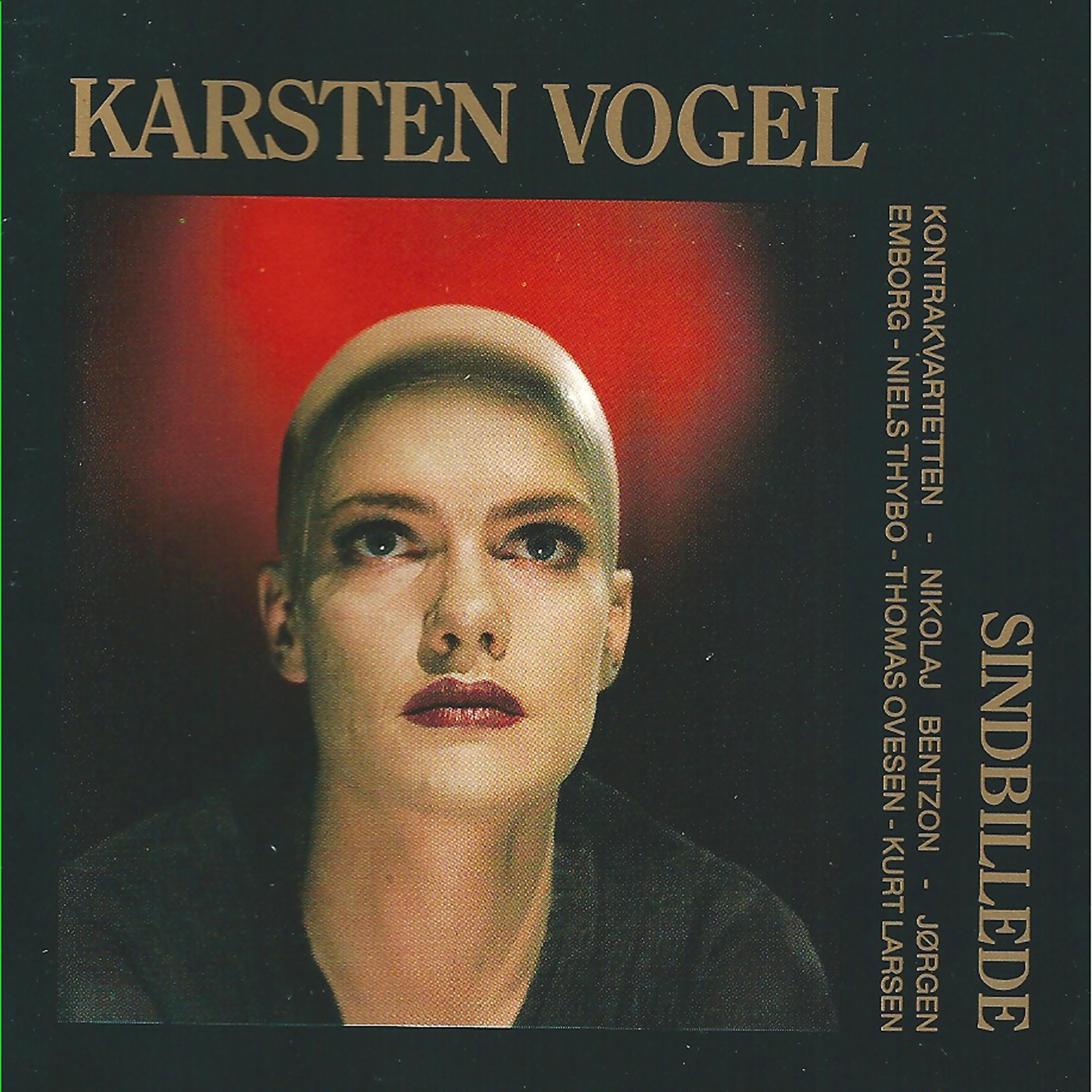 Постер альбома Sindbillede (feat. Nikolaj Bentzon & Jørgen Emborg)