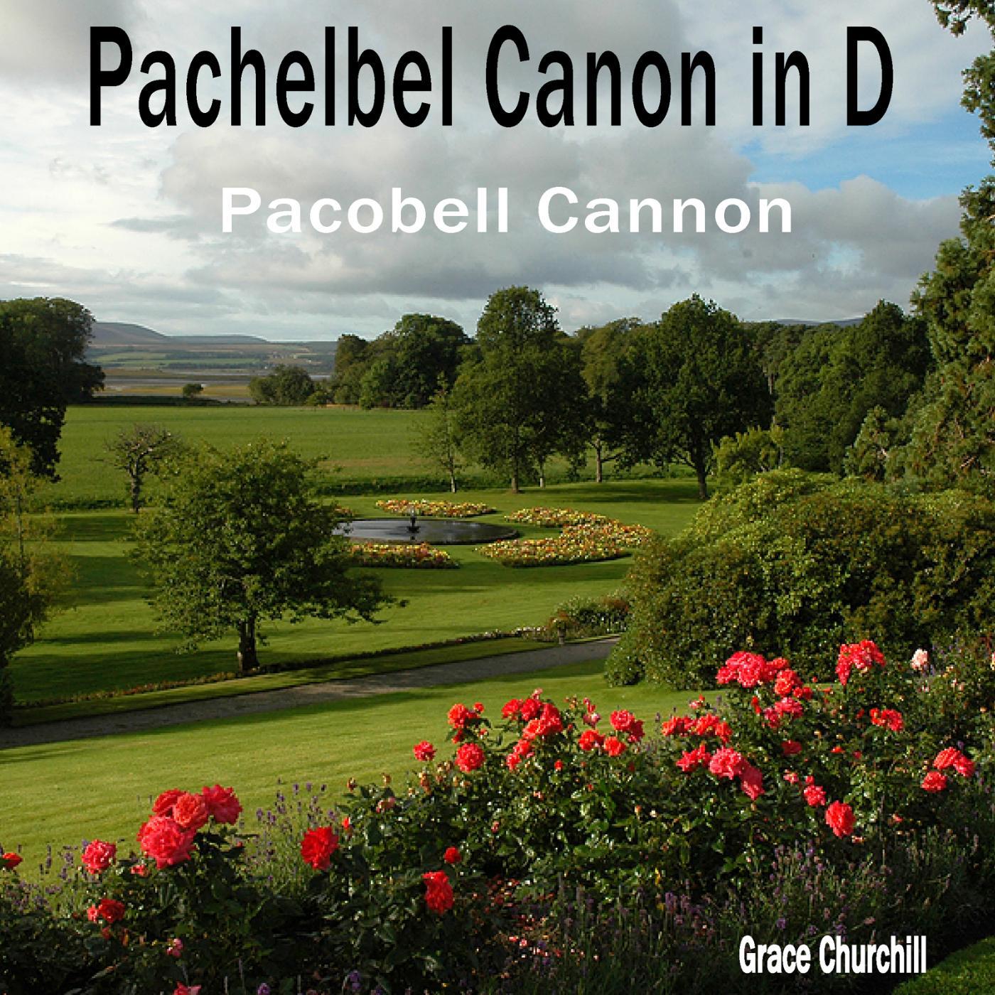 Постер альбома Pachelbel Canon in D - Pacobell Cannon
