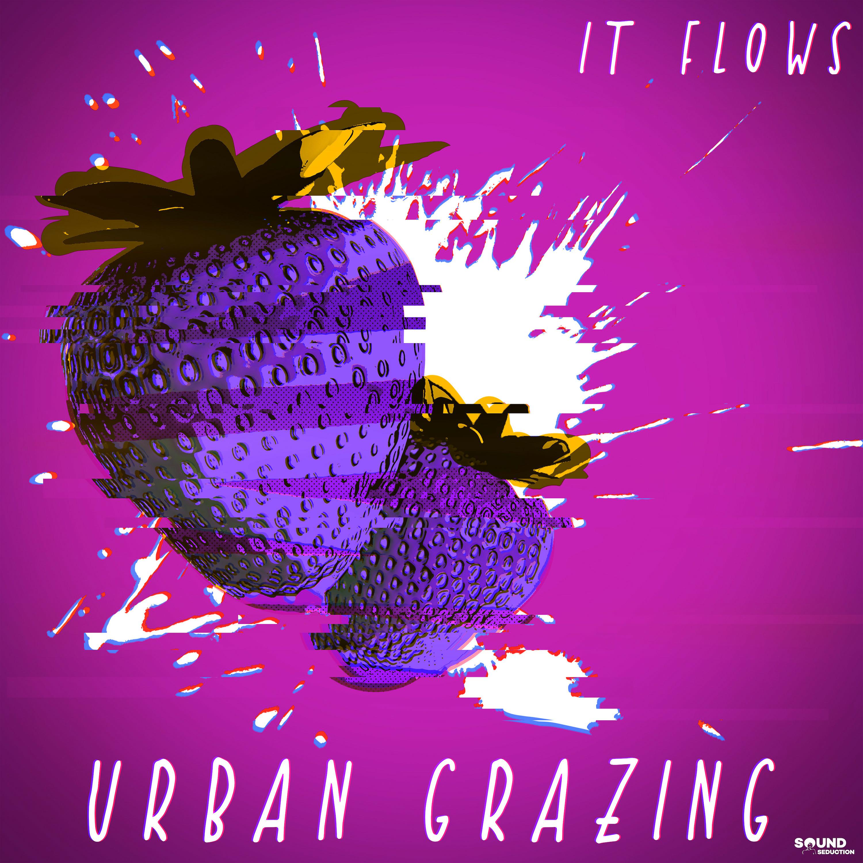 Постер альбома Urban Grazing