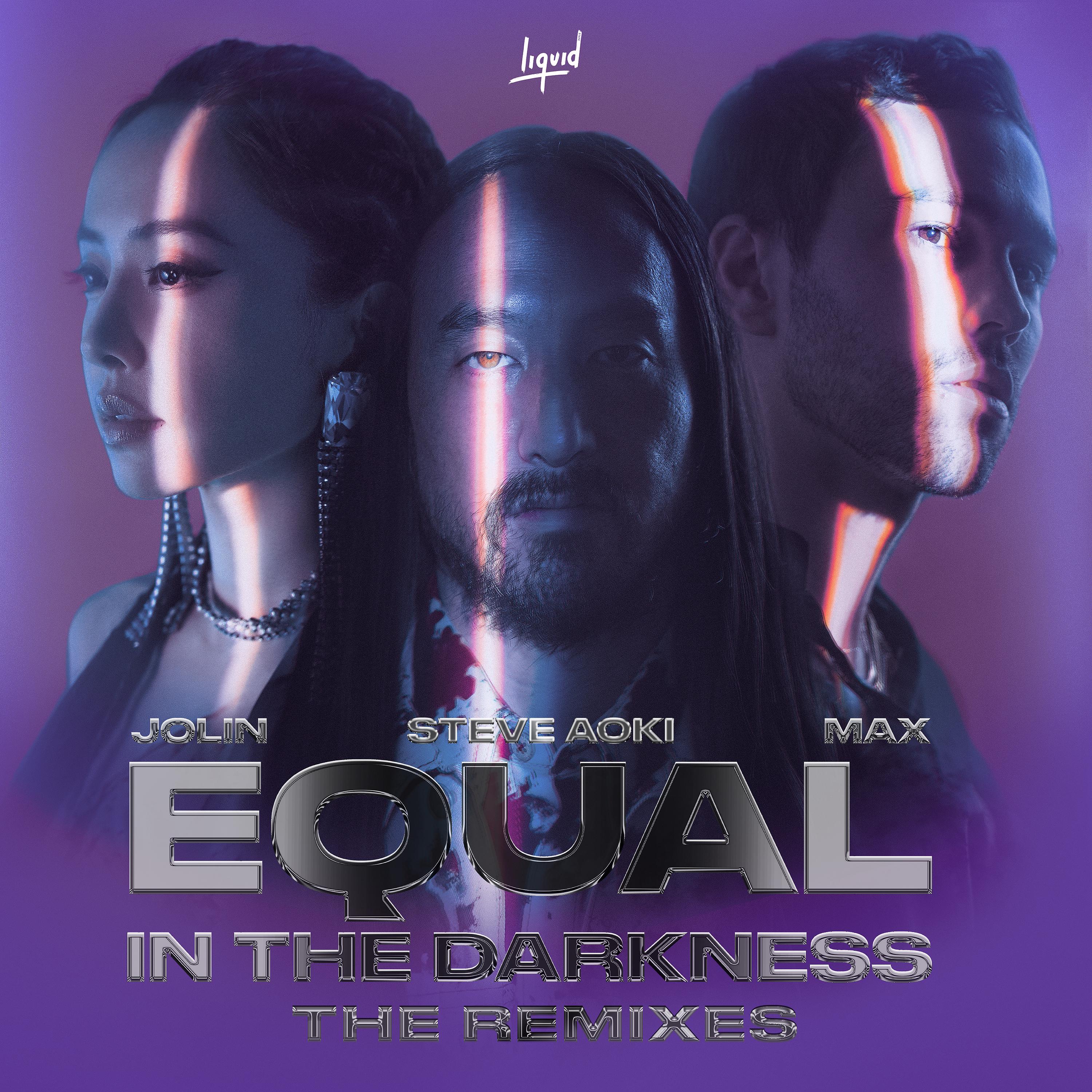 Постер альбома Equal in the Darkness (The Remixes)