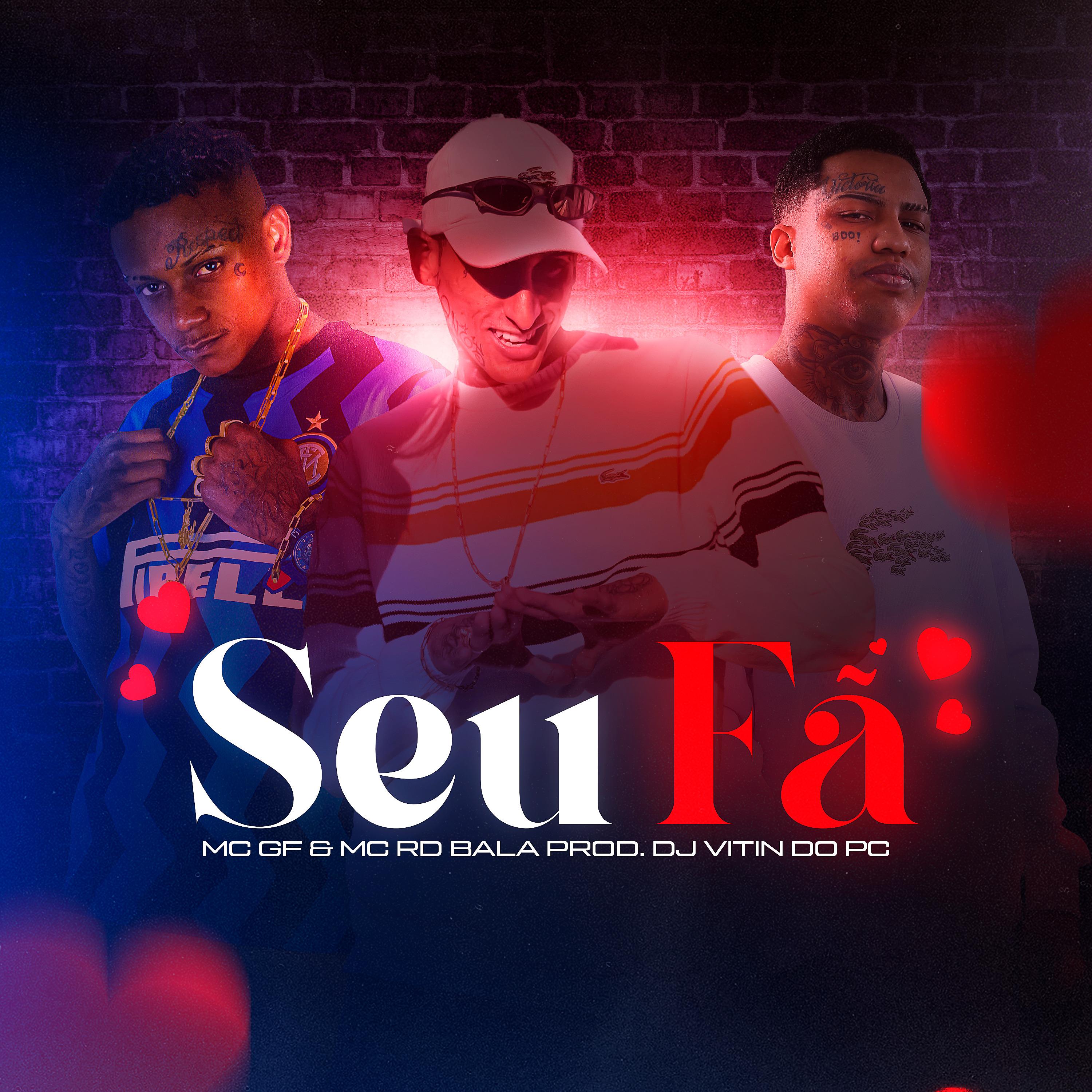 Постер альбома Seu Fã