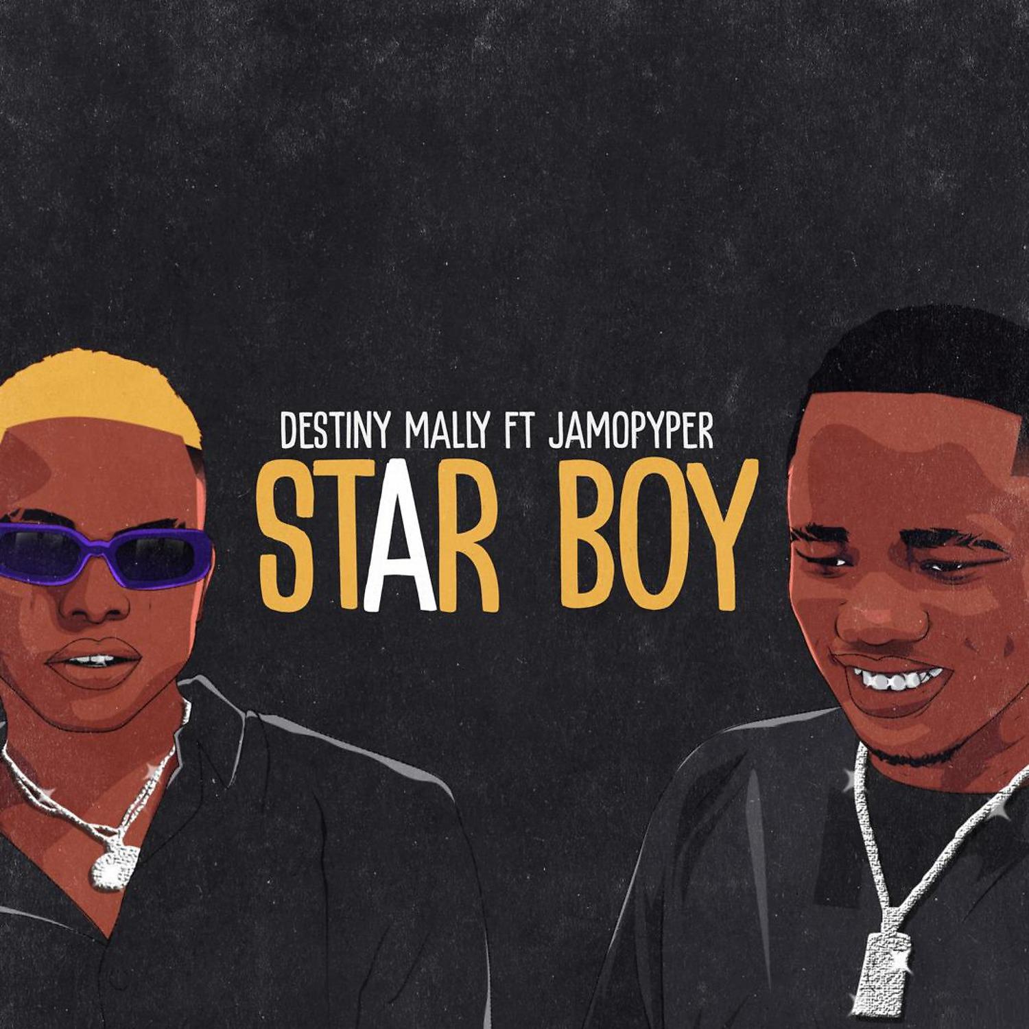 Постер альбома Star Boy
