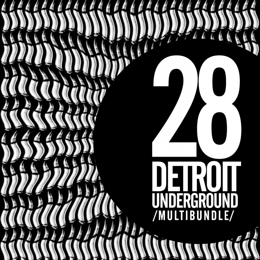 Постер альбома 28 Detroit Underground Multibundle