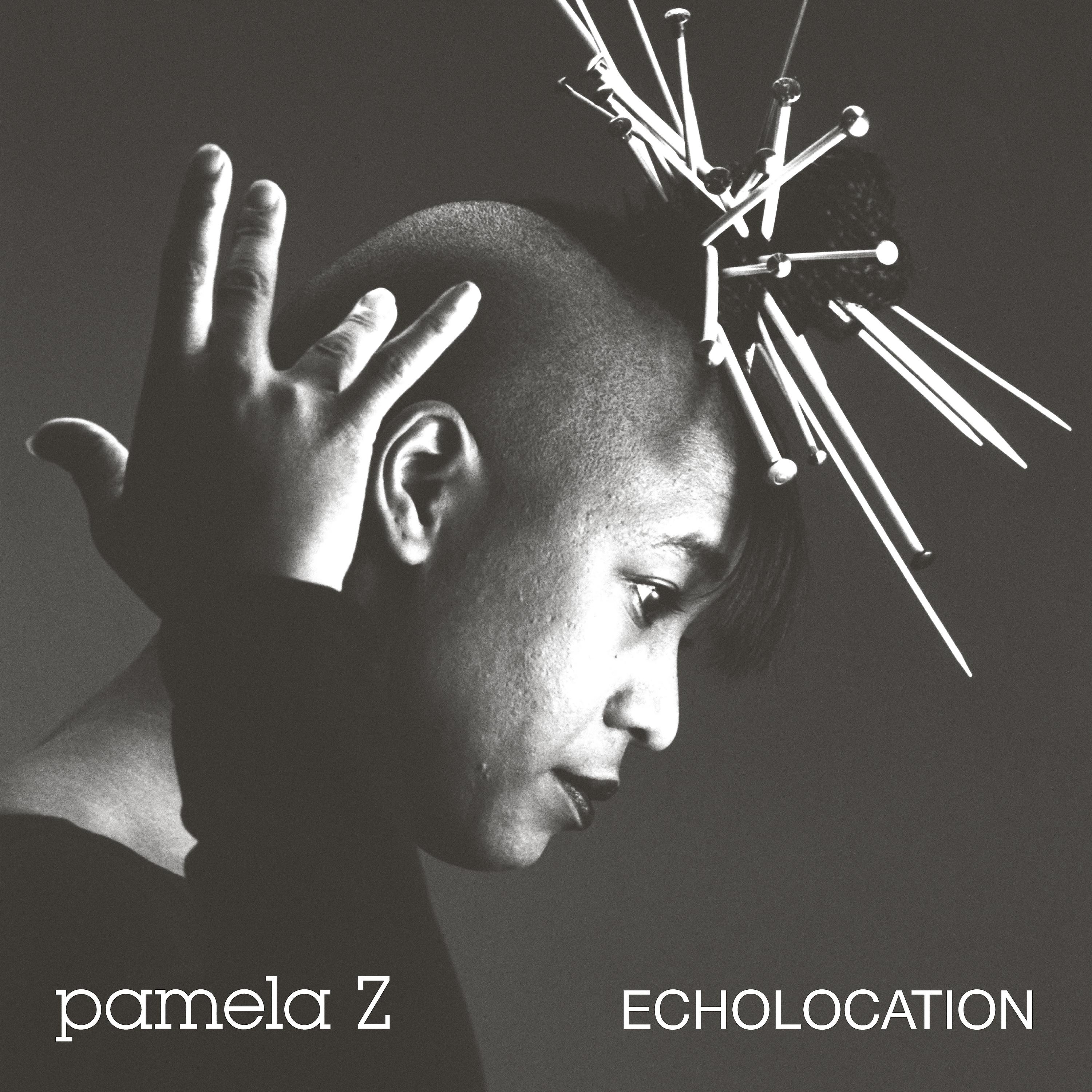 Постер альбома Echolocation