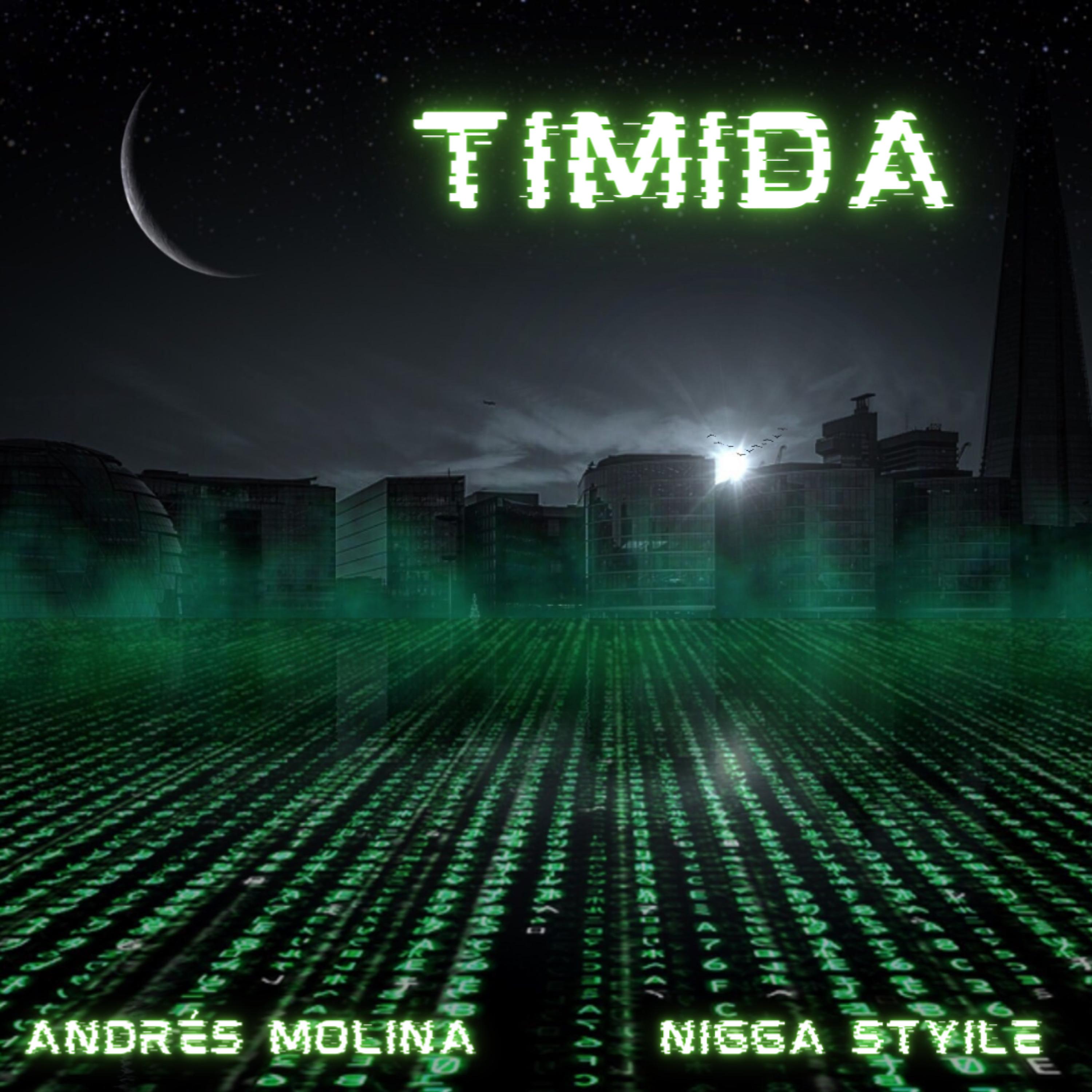 Постер альбома Tímida