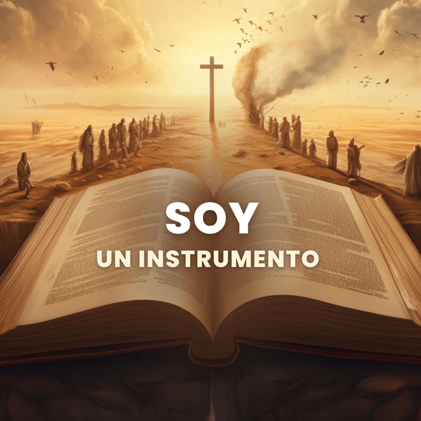Постер альбома Soy Un Instrumento