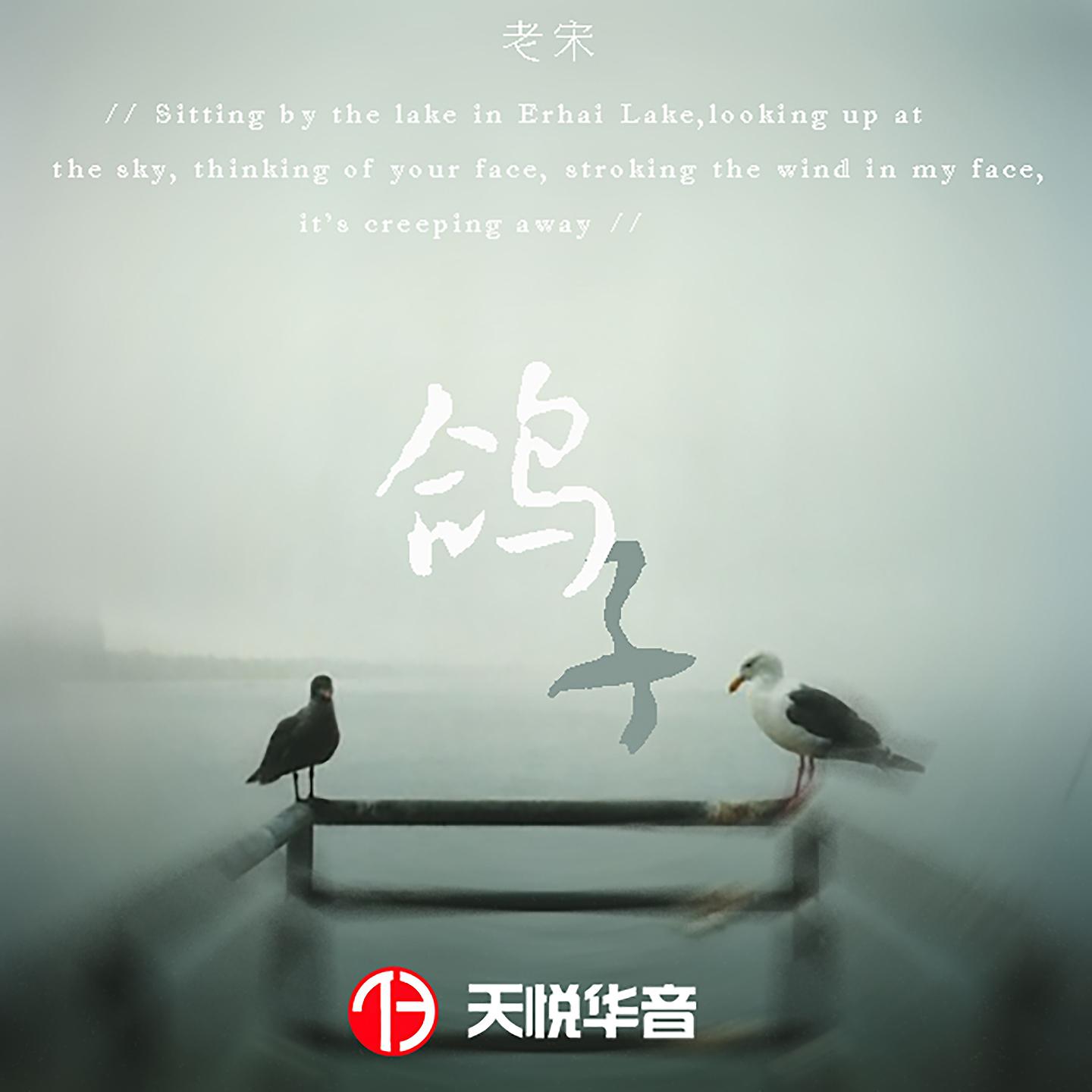 Постер альбома 鸽子
