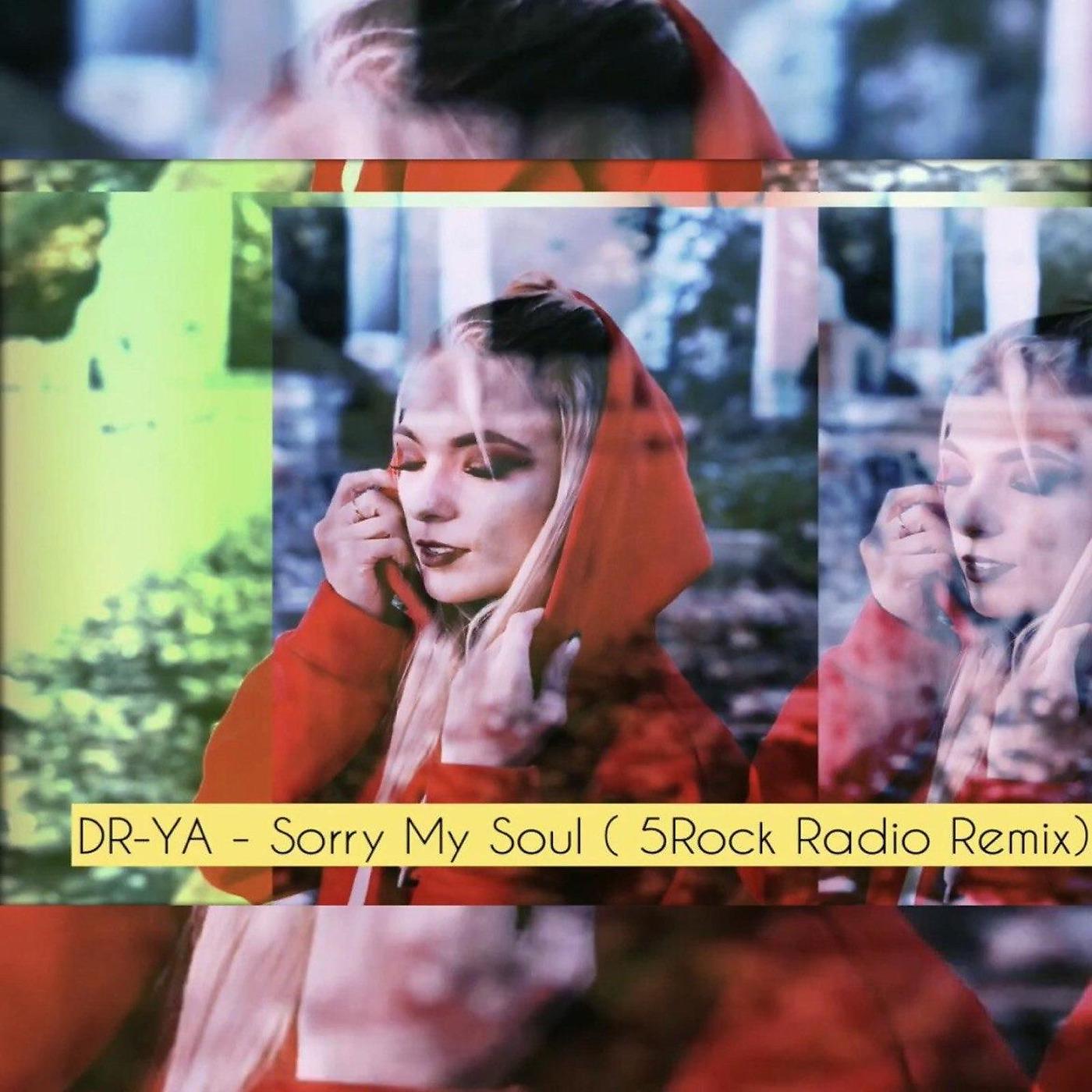 Постер альбома Sorry My Soul (5rock Radio Remix)