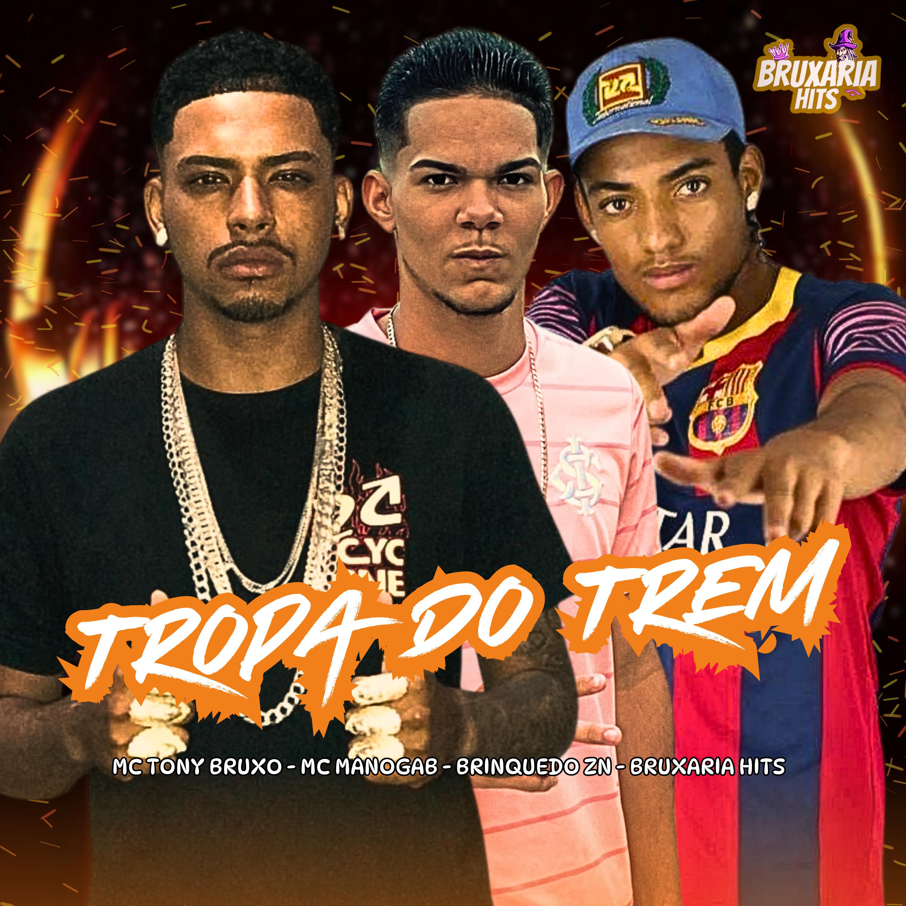 Постер альбома Tropa do Trem