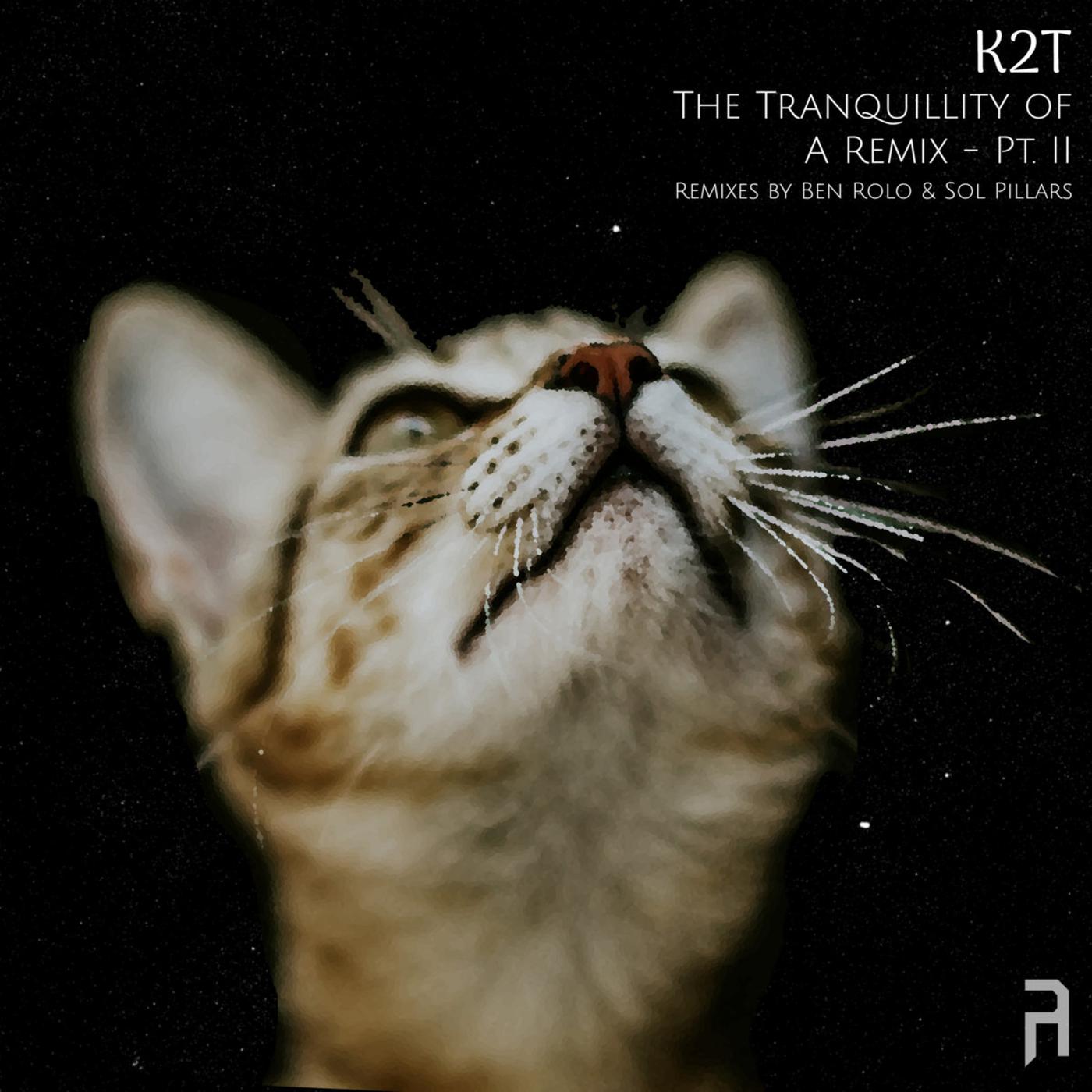 Постер альбома The Tranquillity of A Remix - Pt. II