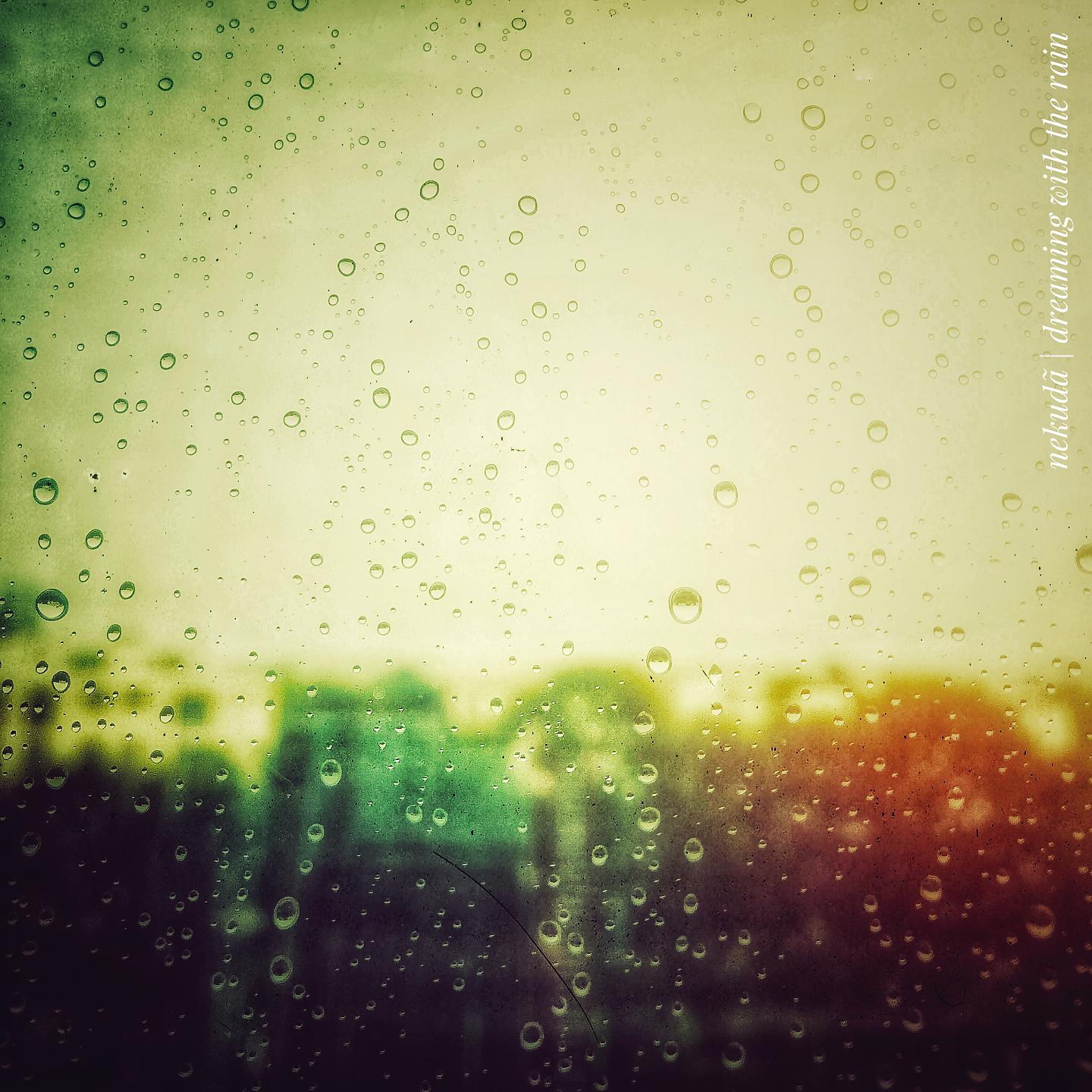 Постер альбома Dreaming with the Rain