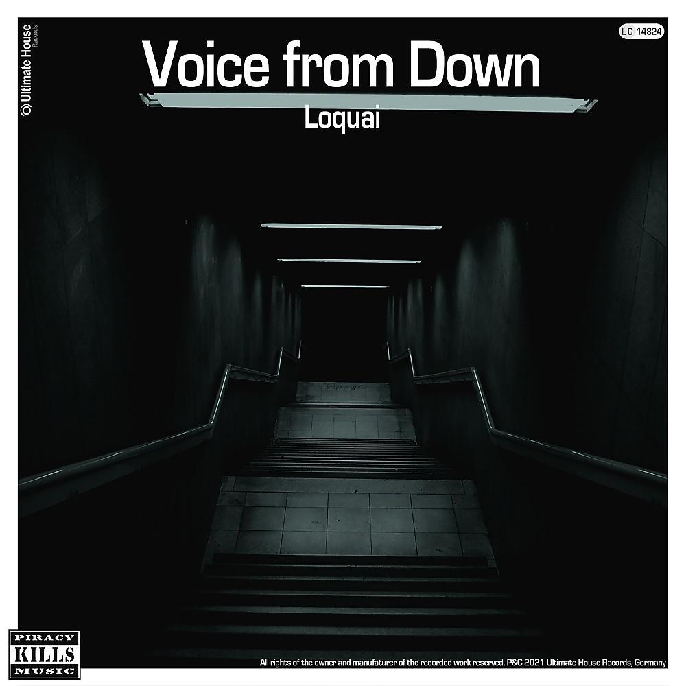 Постер альбома Voice from Down