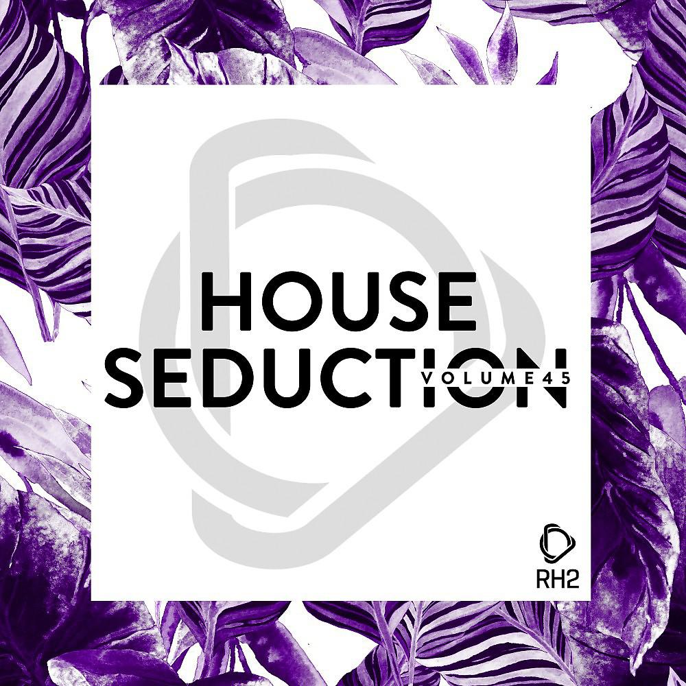 Постер альбома House Seduction, Vol. 45