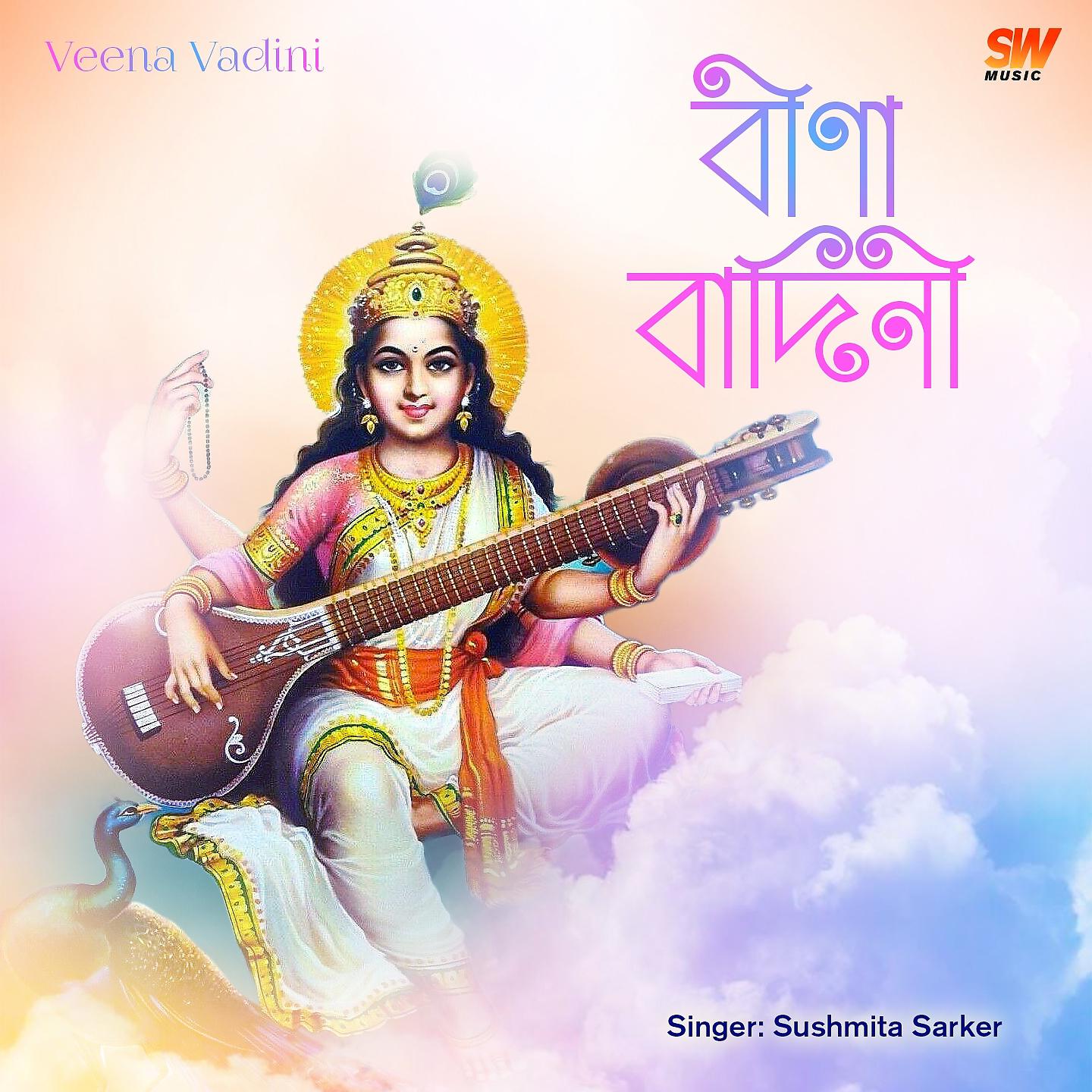 Постер альбома Veena Vadini