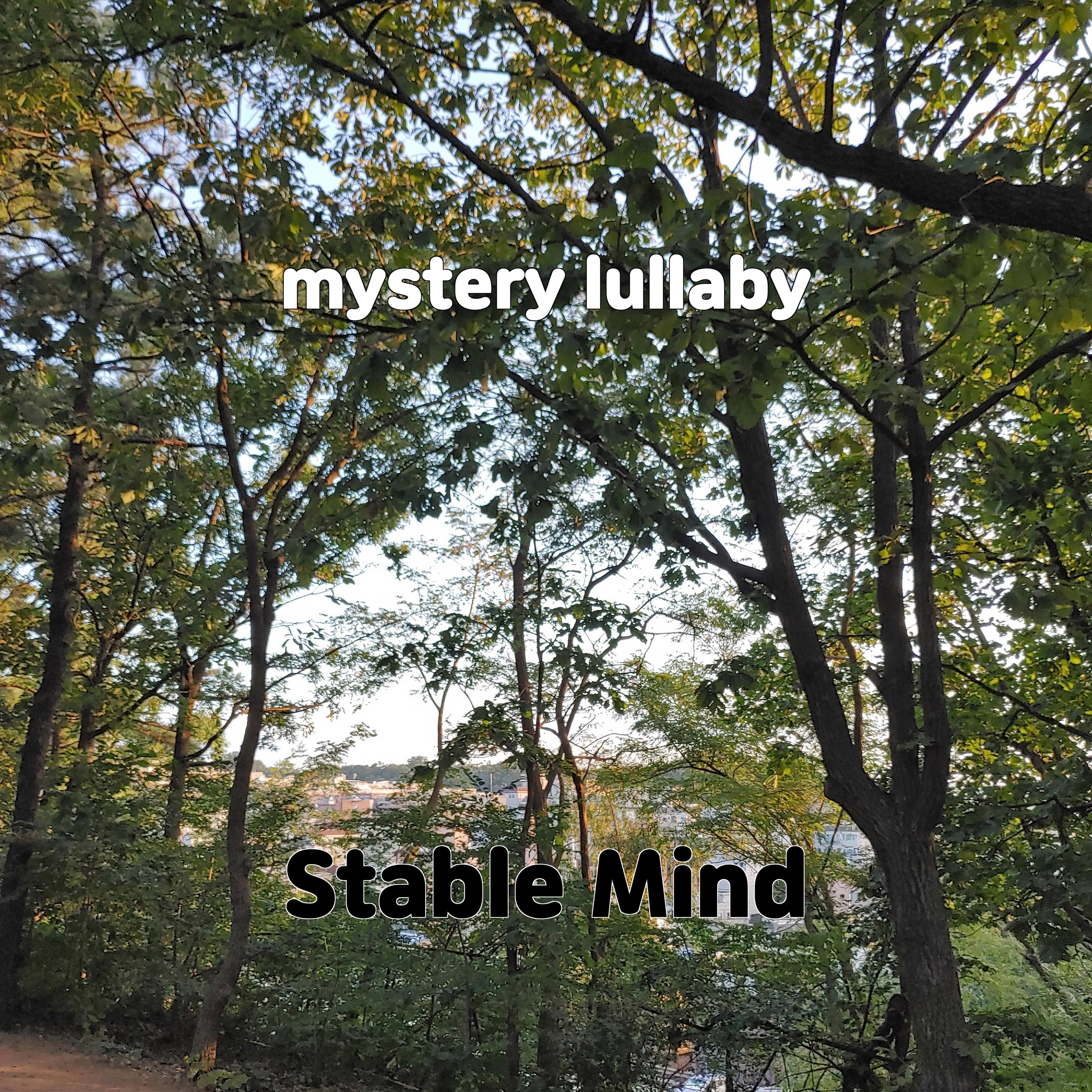Постер альбома mystery lullaby