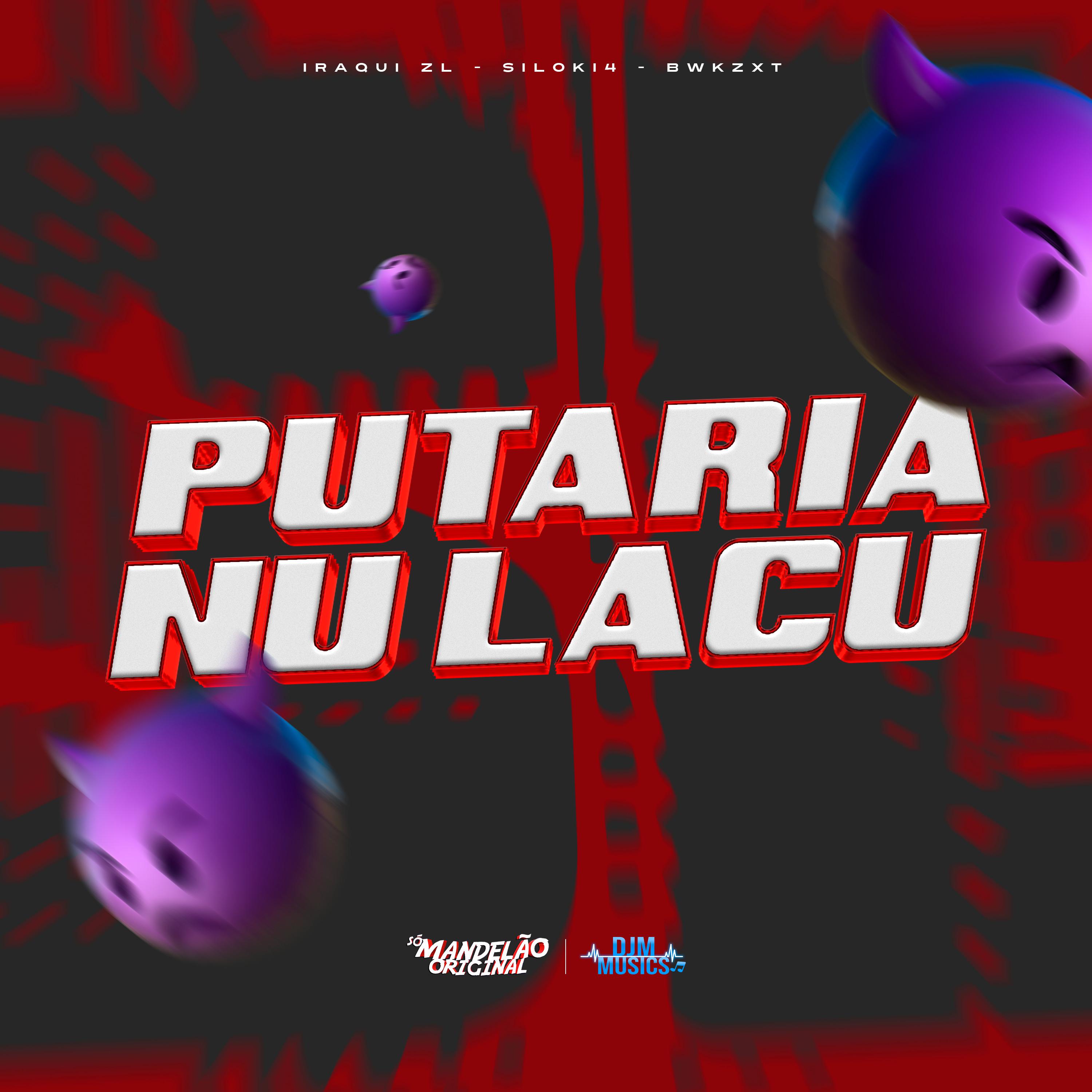 Постер альбома Putaria Nu Lacu