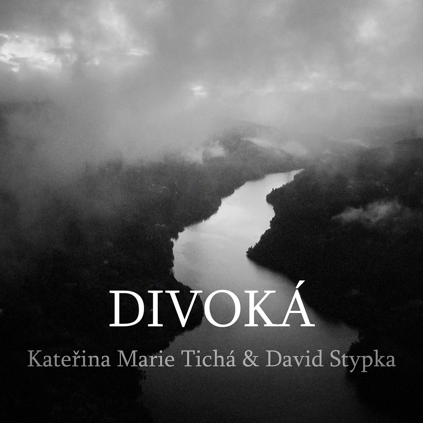 Постер альбома Divoká