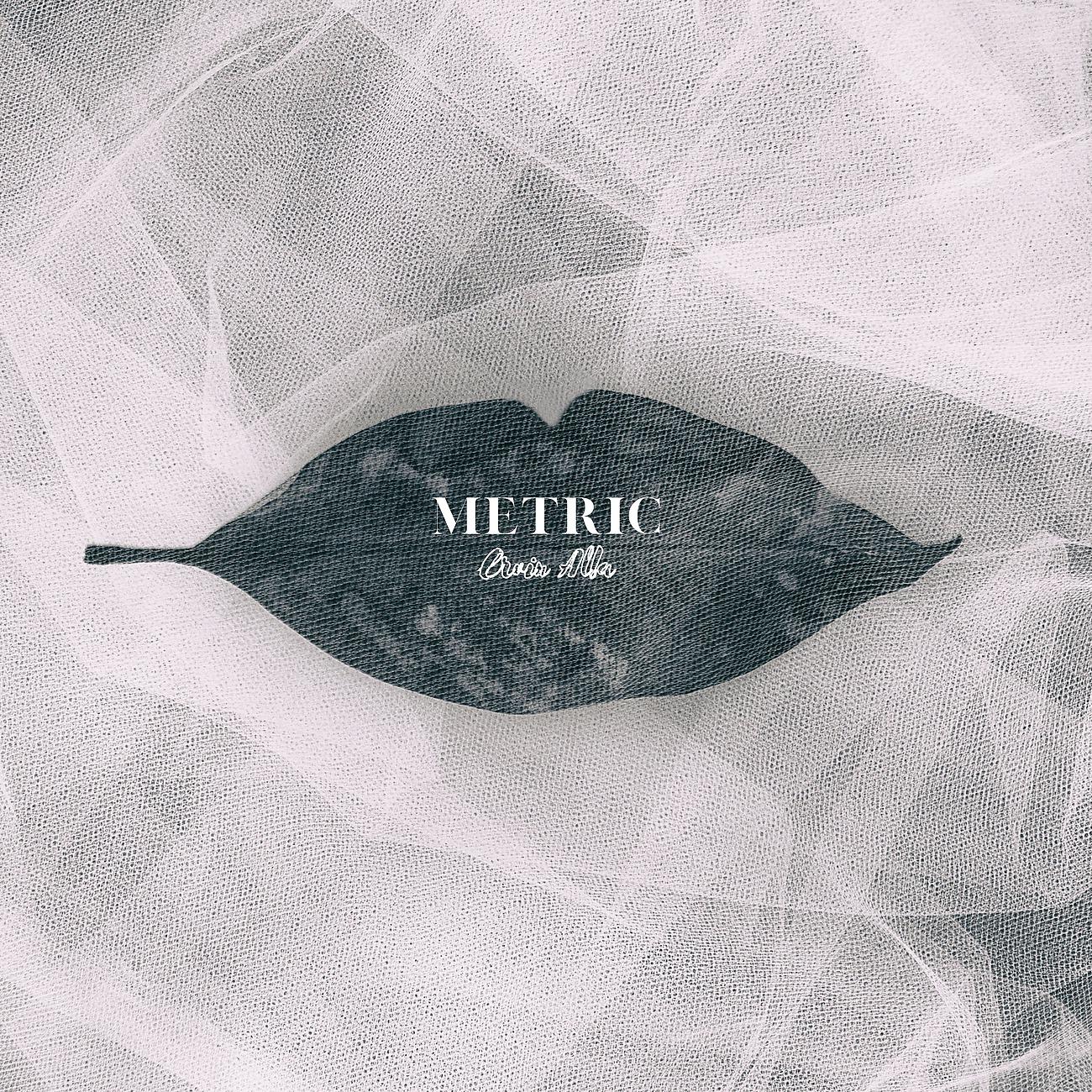 Постер альбома Metric