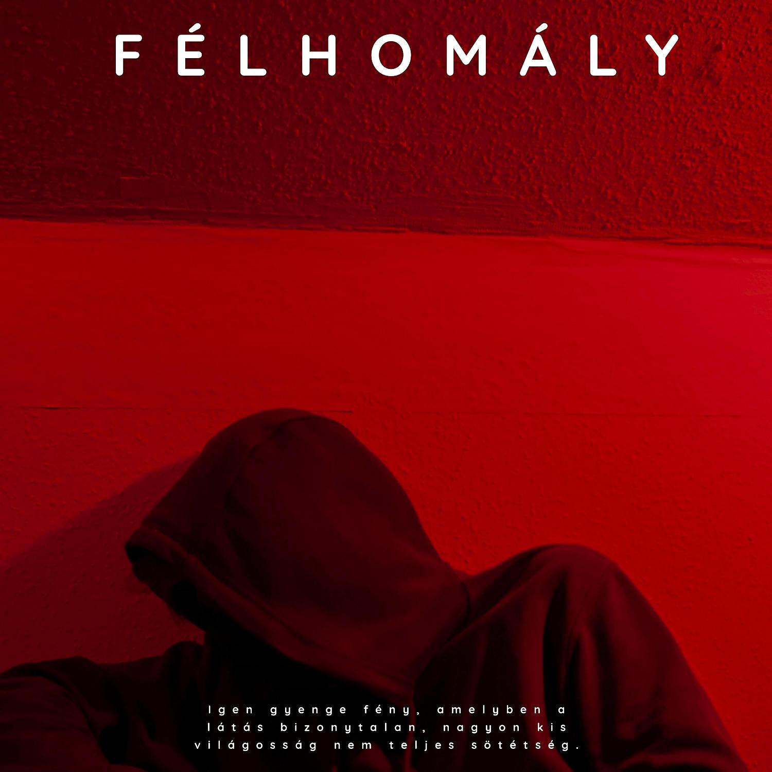 Постер альбома Félhomály