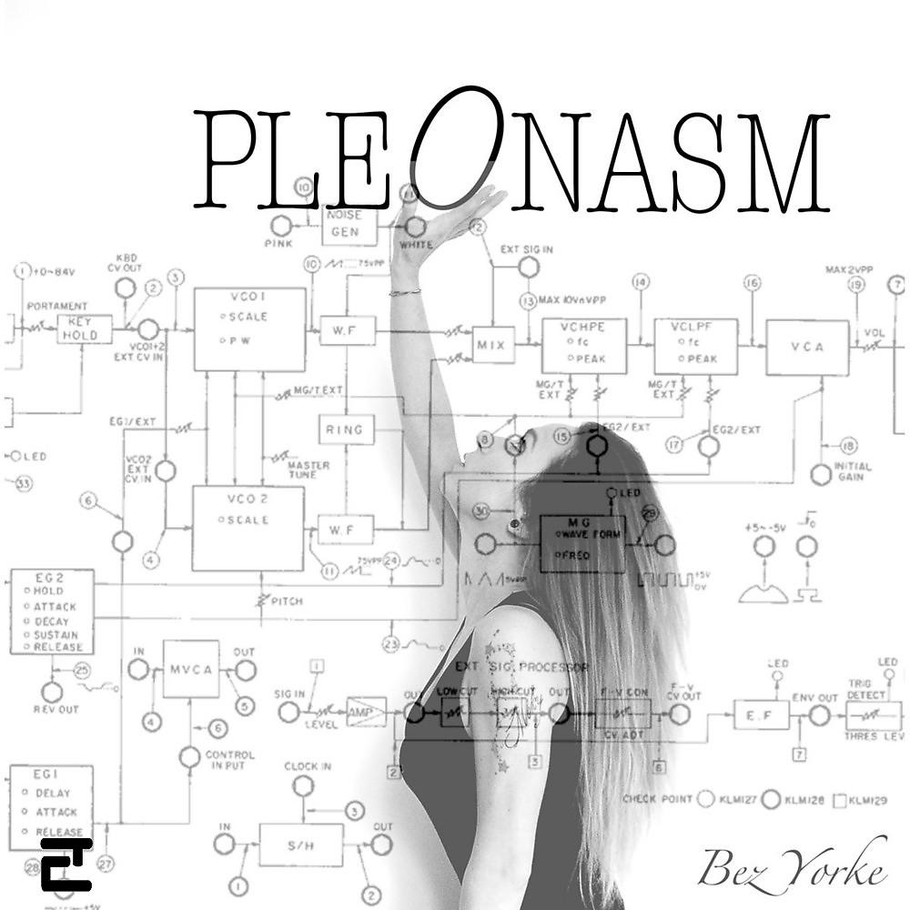 Постер альбома Pleonasm