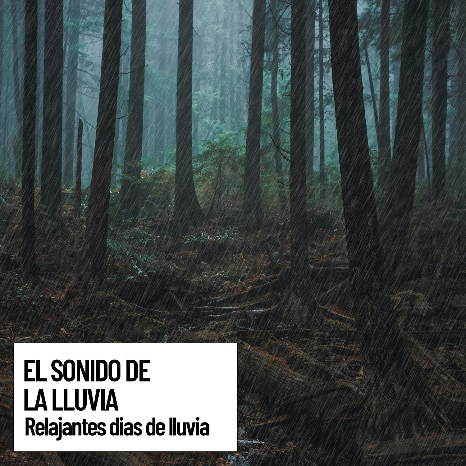Постер альбома El sonido de la lluvia: relajantes dias de lluvia