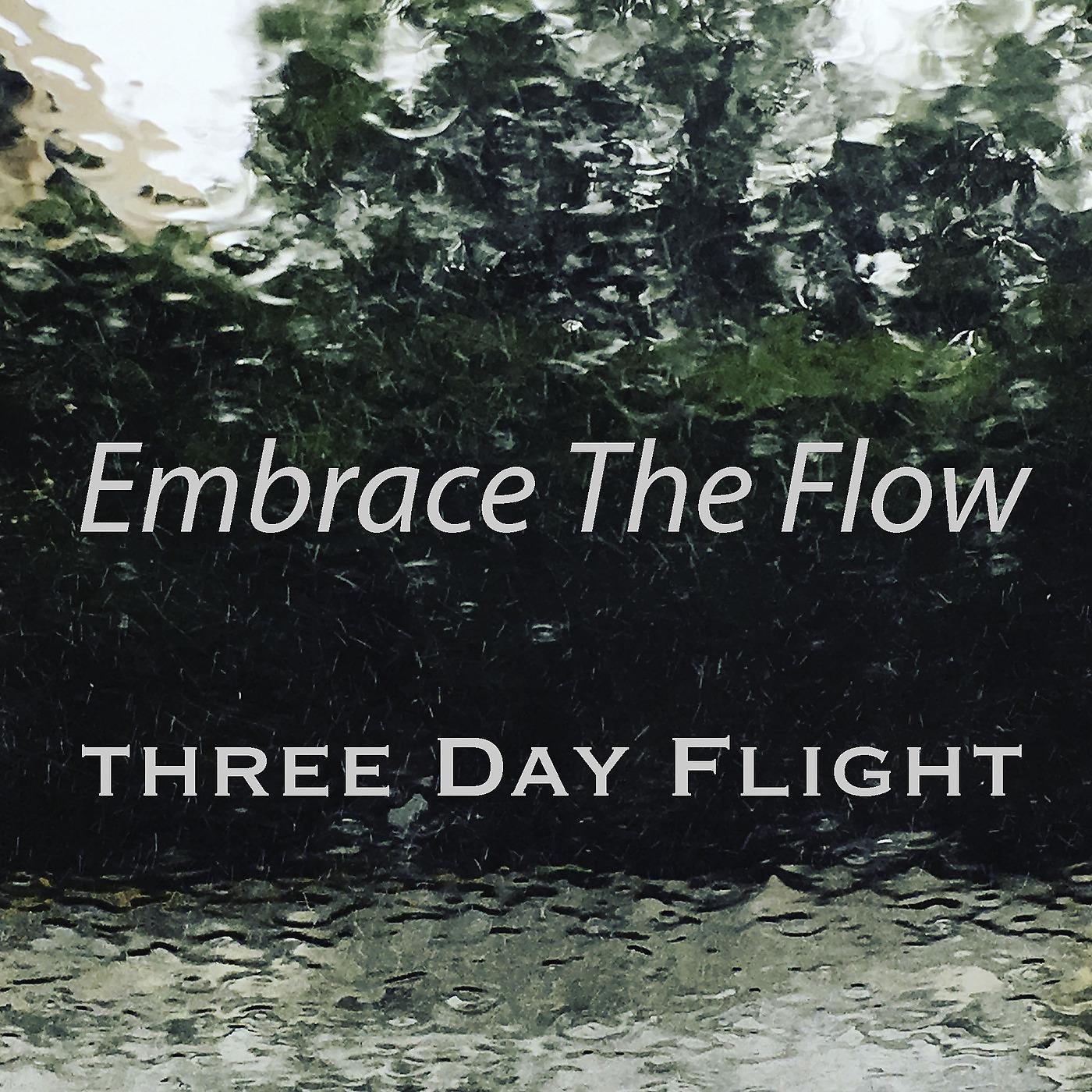 Постер альбома Embrace the Flow