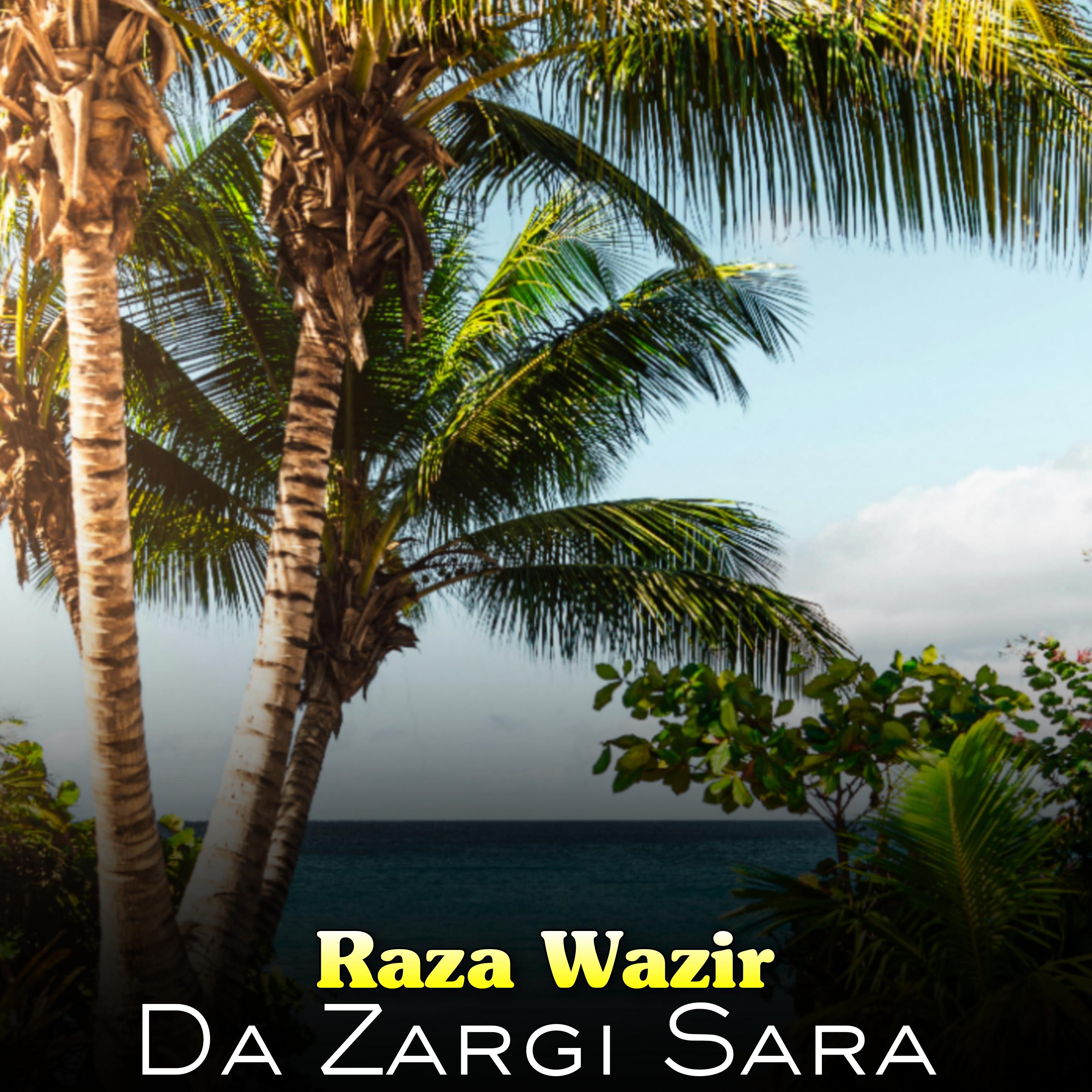 Постер альбома Da Zargi Sara