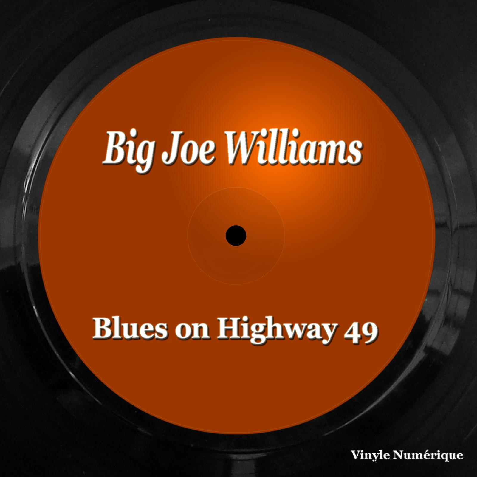 Постер альбома Blues on Highway 49
