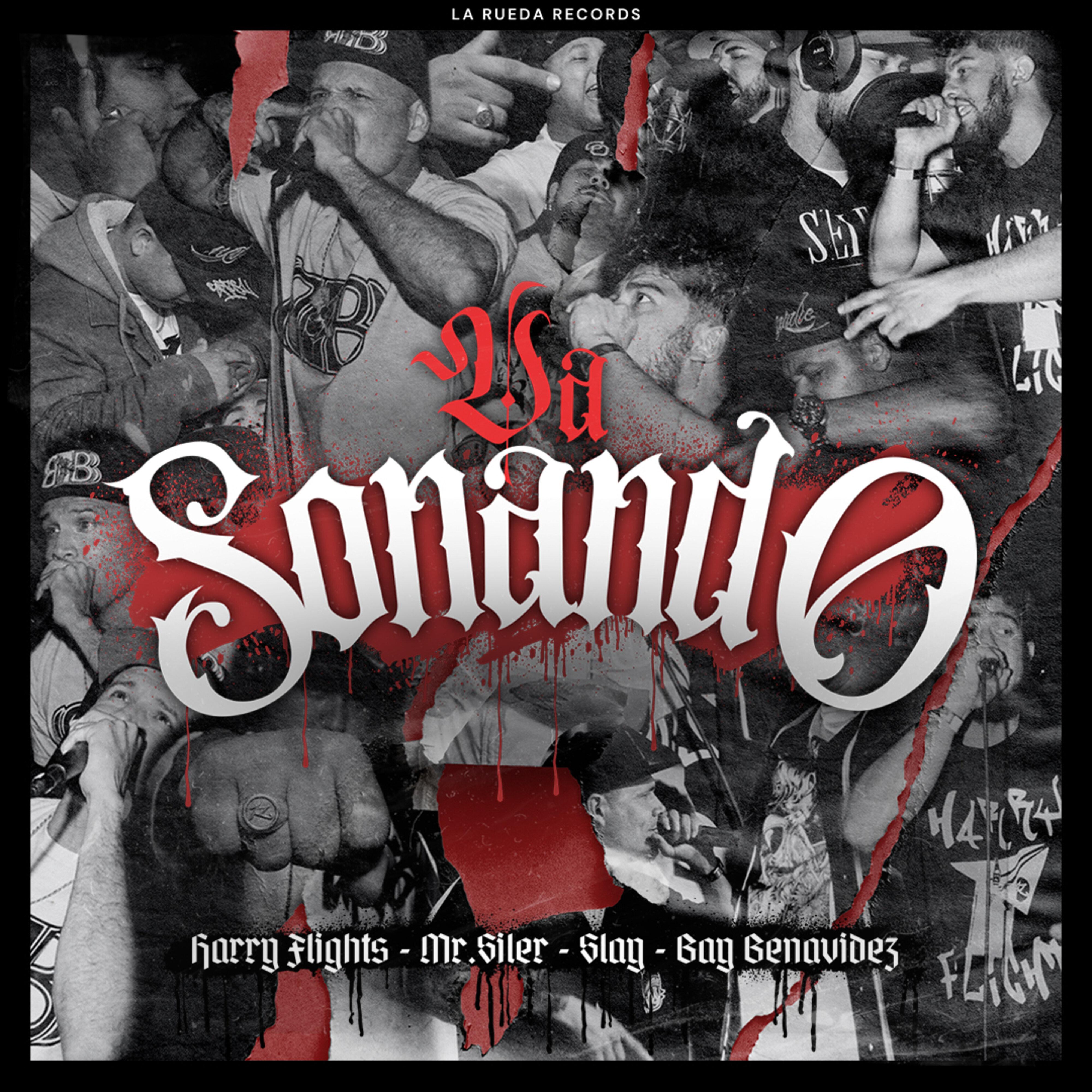 Постер альбома Va Sonando