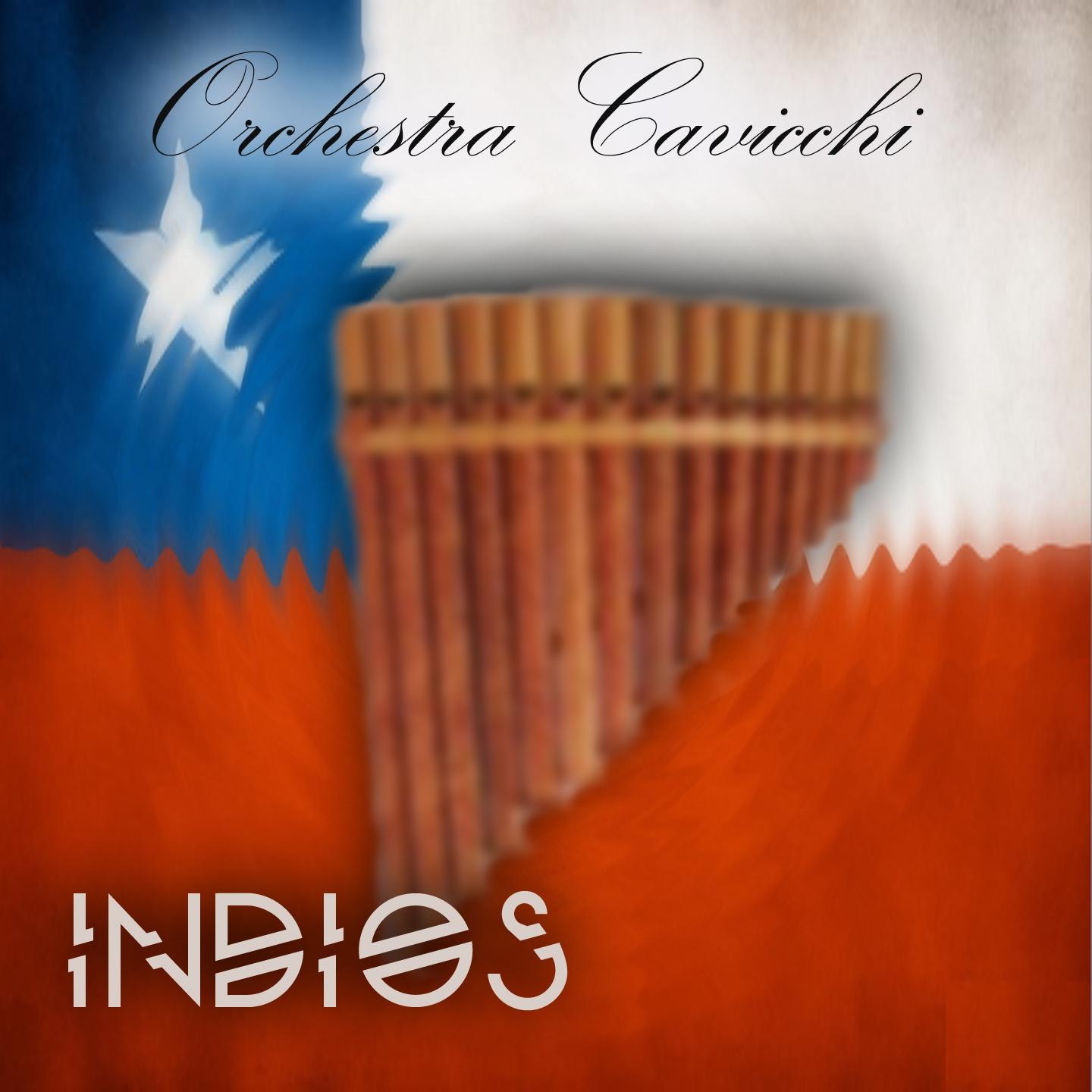Постер альбома Indios