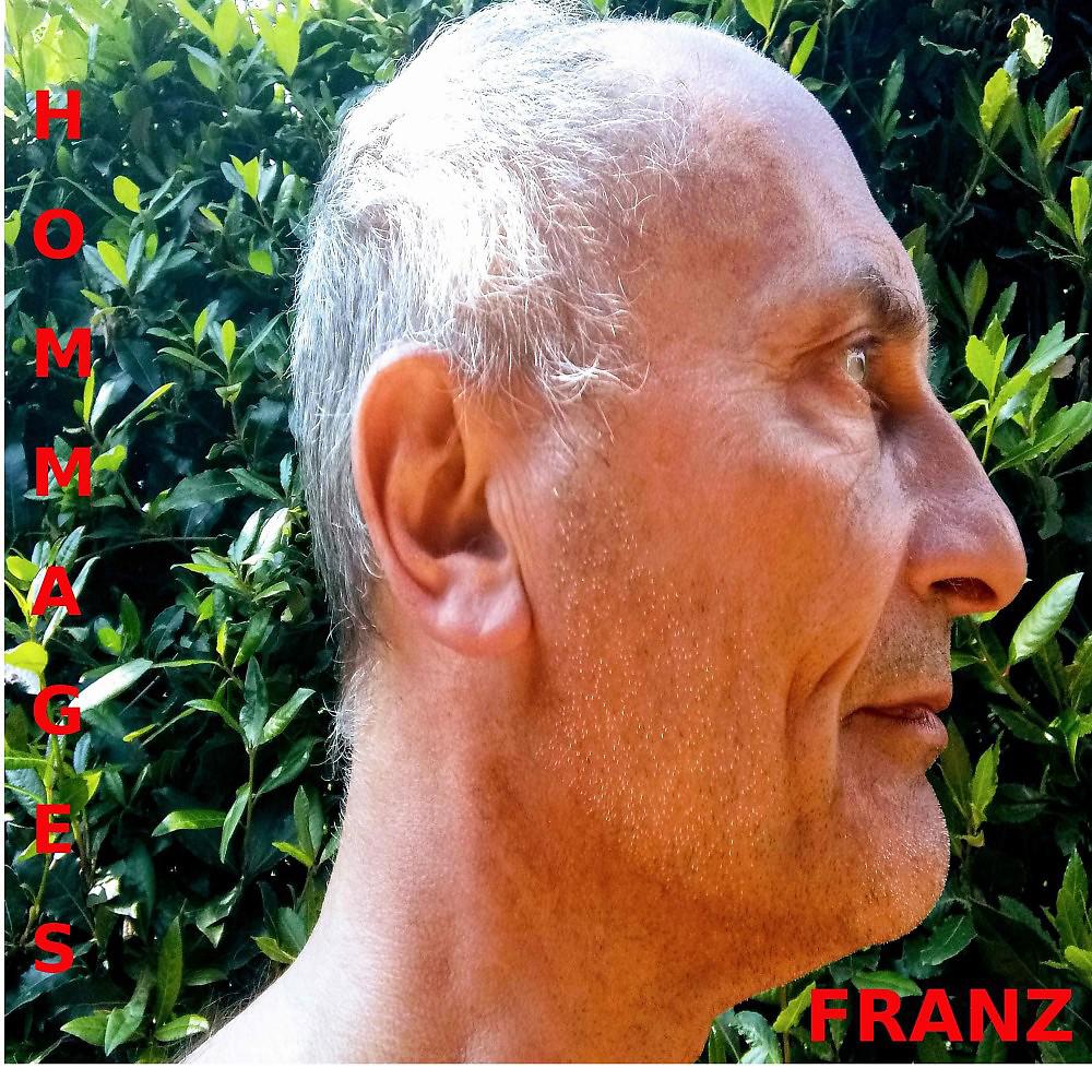 Постер альбома Franz Hommages